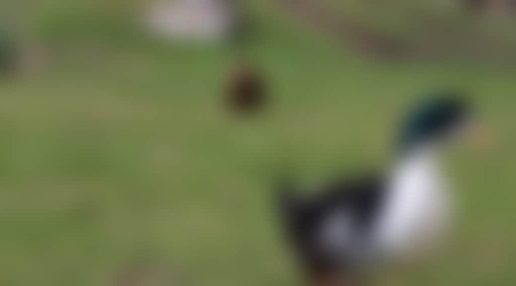 F6126E615E6A0Ca40Bad3466B9A48261