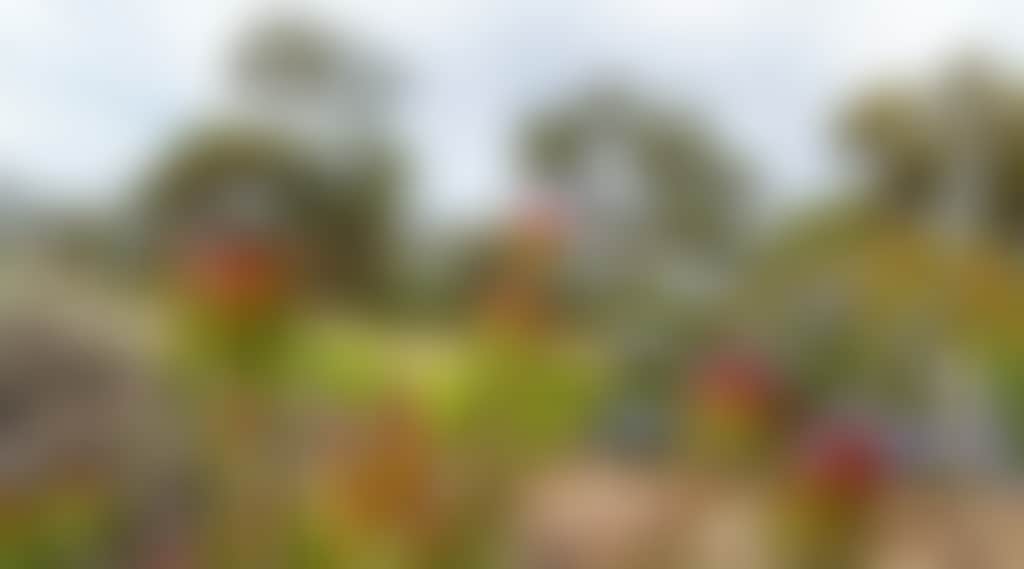 69Fc38956178D9Ccd9C87F633D3D326B