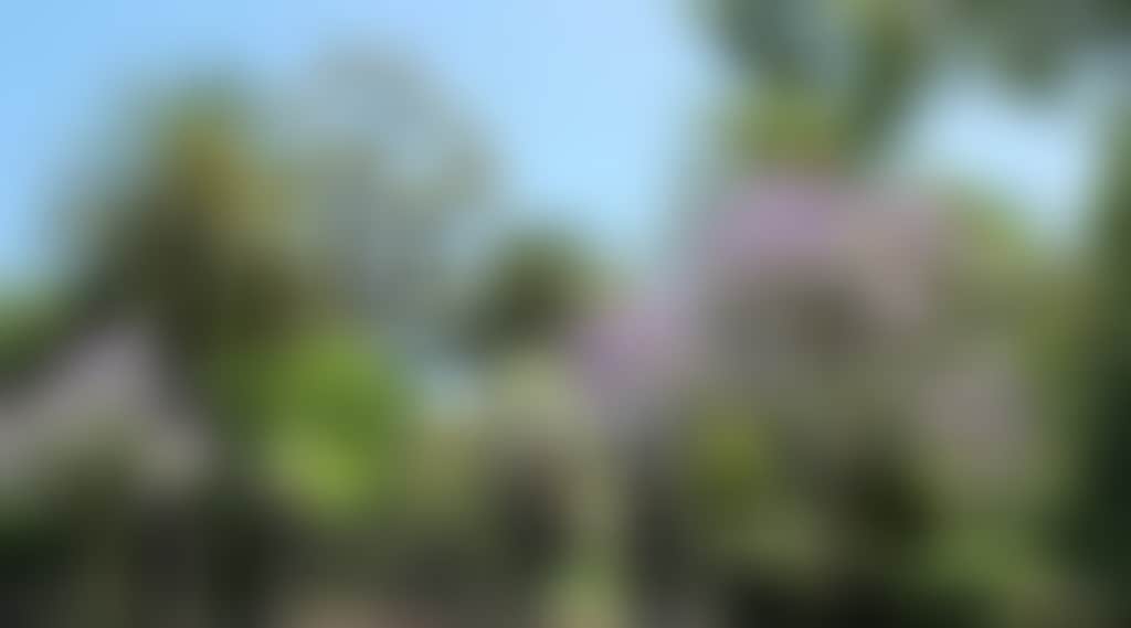 C73A6F348360C1B924B844C3C41E066C