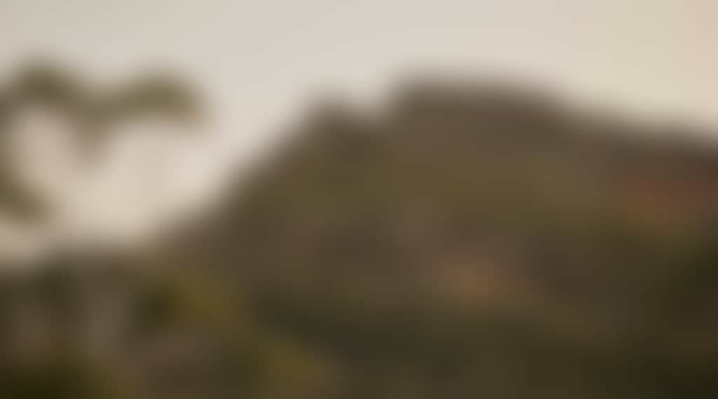 65A5472Fd96E2Bde1110E6C2A1E96Ee4