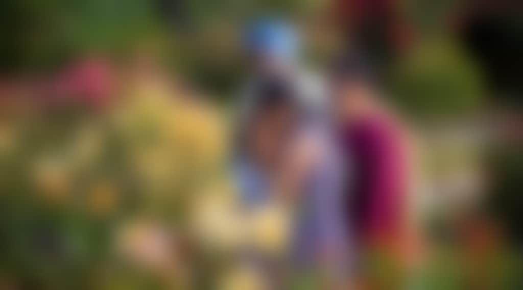 9C47Fee73E6916Ec69D0B45D404Bc2F8