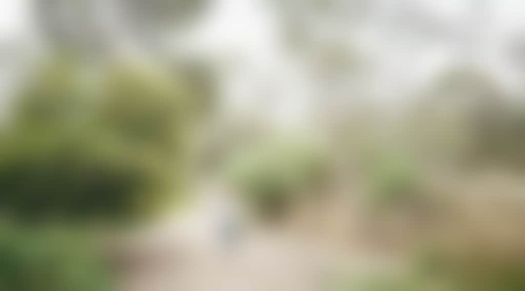 D35Ca0Edbeb0F100D14075Dc04Bd1Dc2