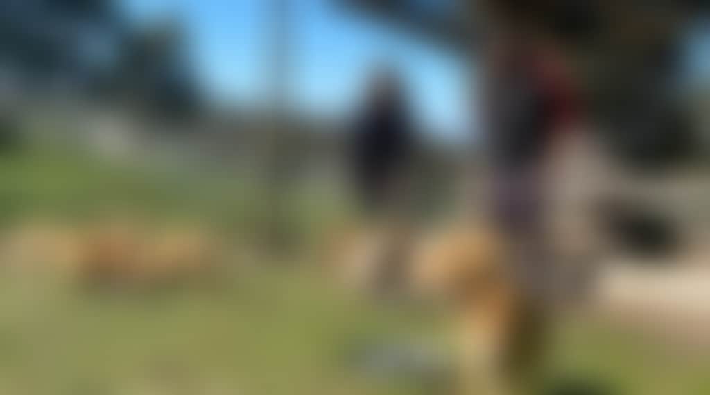 8189B76Ef9C60D82A93Acdf6220A2636