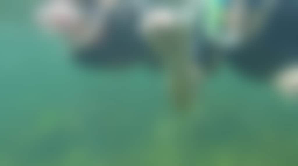 38523Dcbdbc97370081F91Ec333E9Eeb