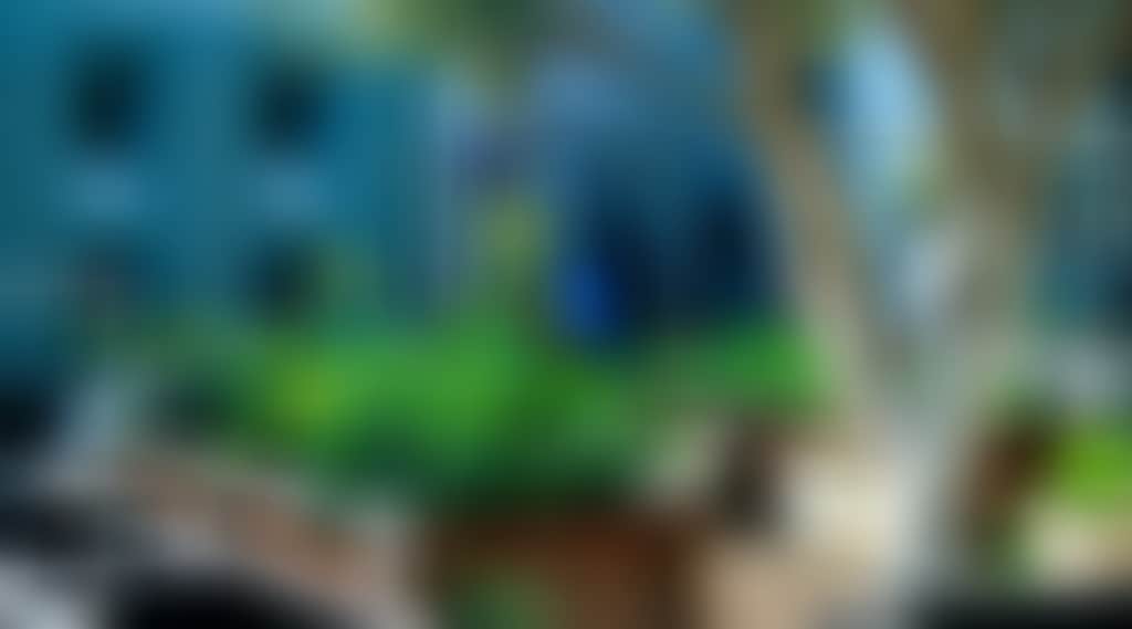 D25Dd62Ec00Ad7Baddc74A5F102D53F1