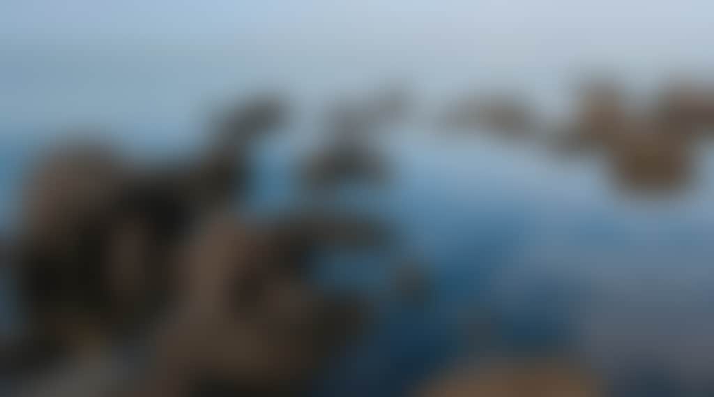 81961E995D24250967A5D9329E6Ca1E6