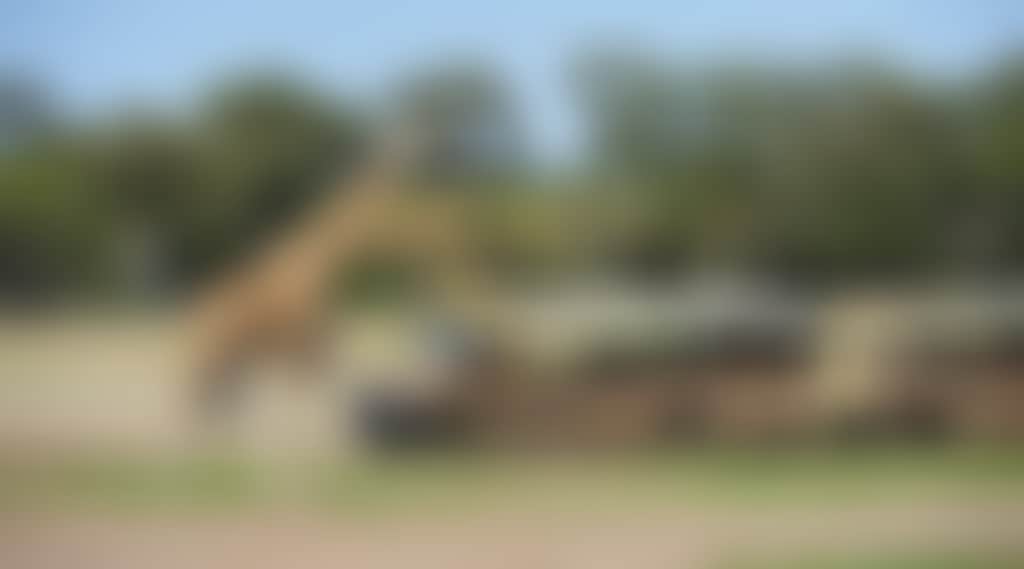 02266Da05Bdd3E4Bdc9D11E90451328E