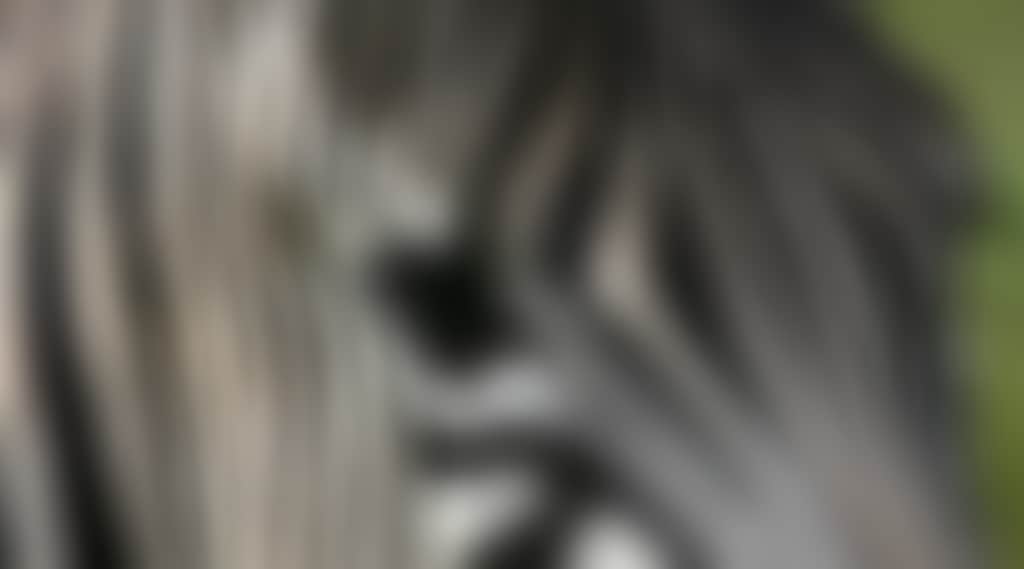 2Aa46Cb2Be61Ffdb400Eccd4B5171E07