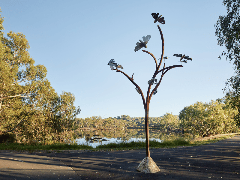 Yindyamarra Sculpture Trail 2022 Artwork Bogong Moth Migration Artist Ruth Davys Photographer Jeremy Weihrauch 3863