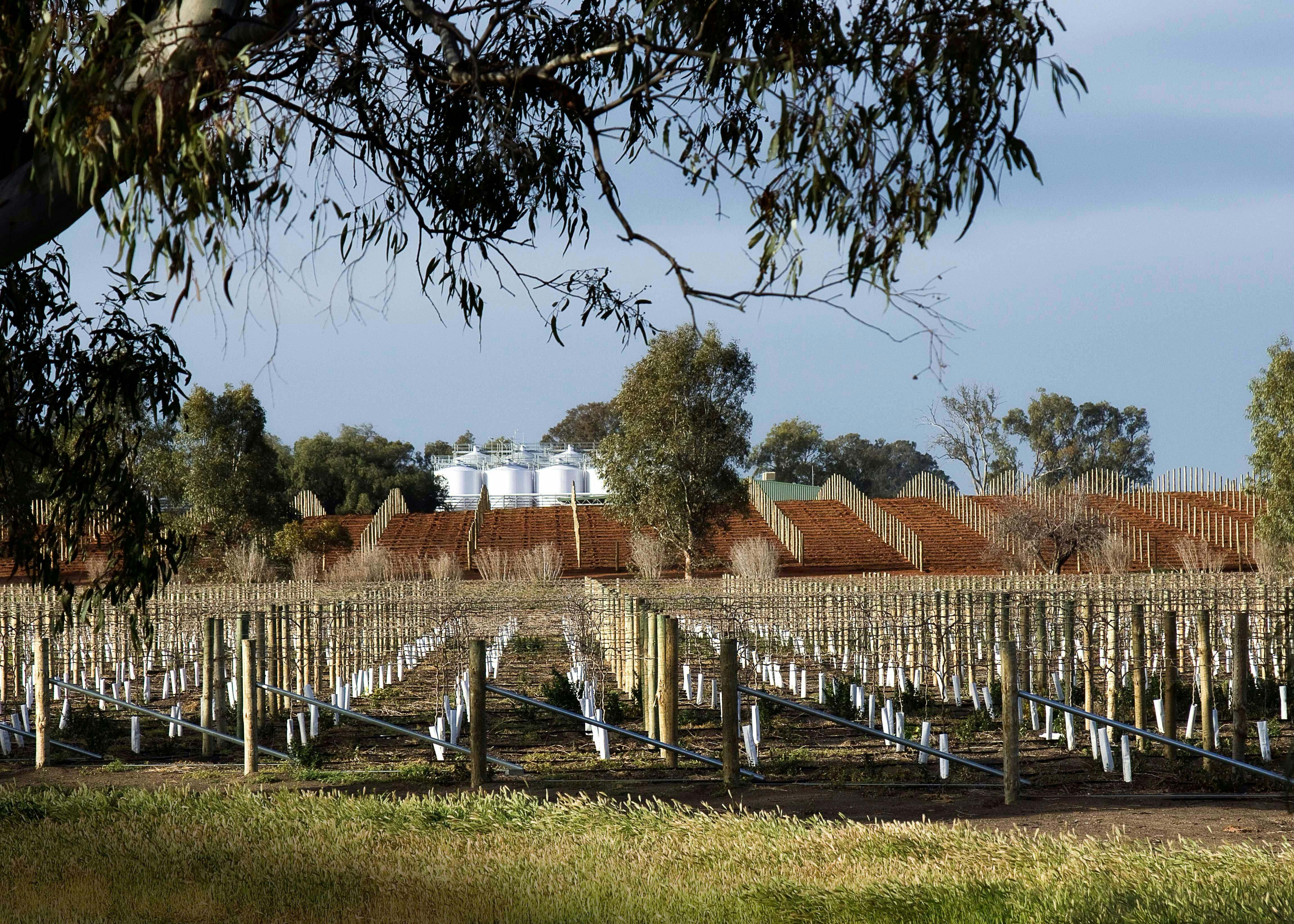 8B3A2B7E8854A75350D98A989C327Ea2