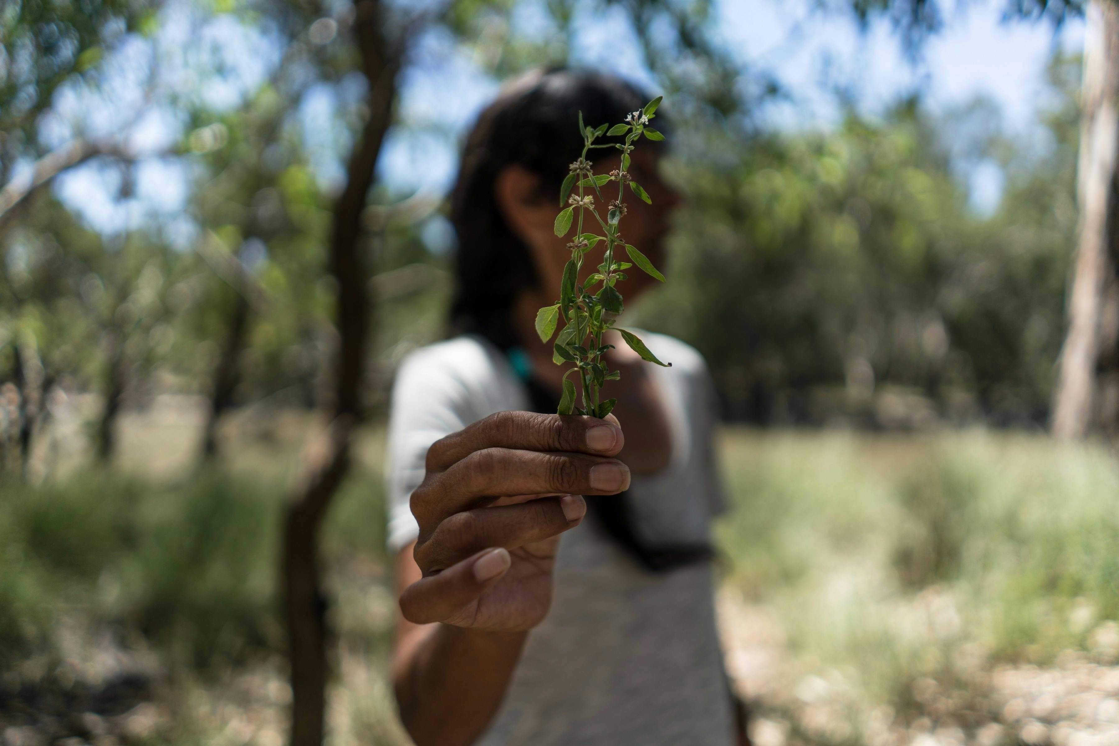 660A492Fb6Fbac3468088A6144C5Abed