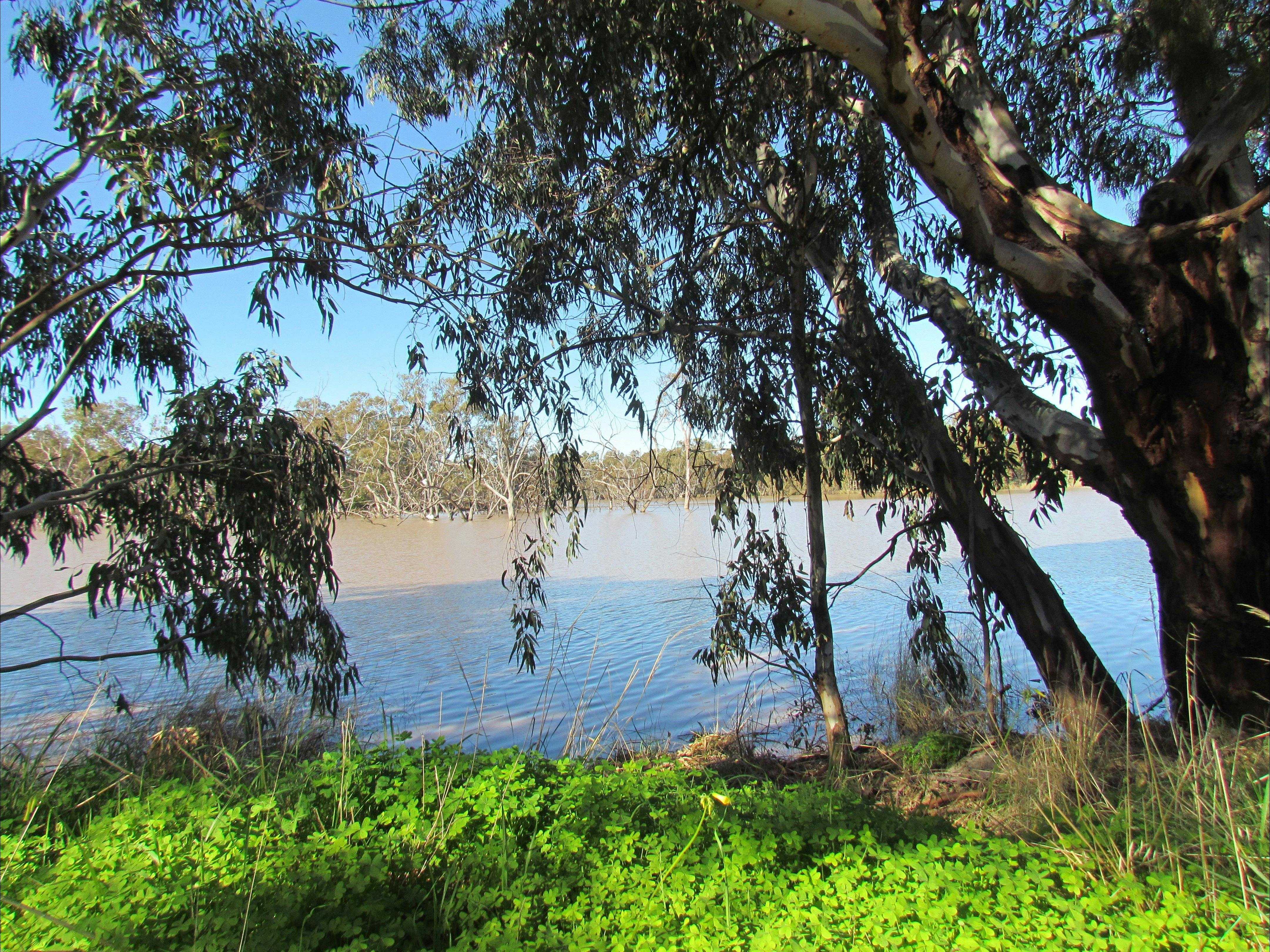 917089E8D3Cb38A8751D92Fd9Dace156