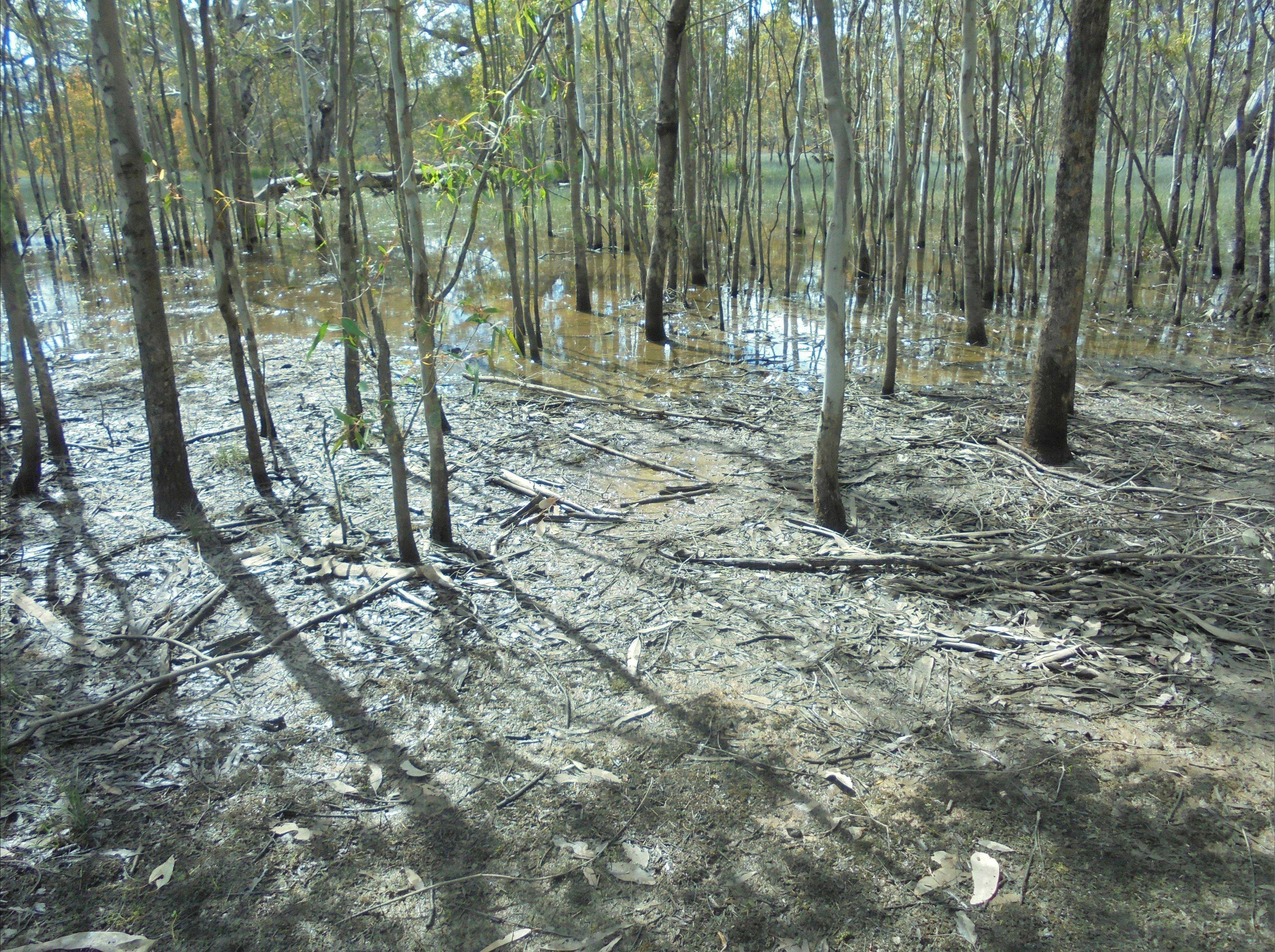 Ae712714D973008C9D3B23207E3A2553