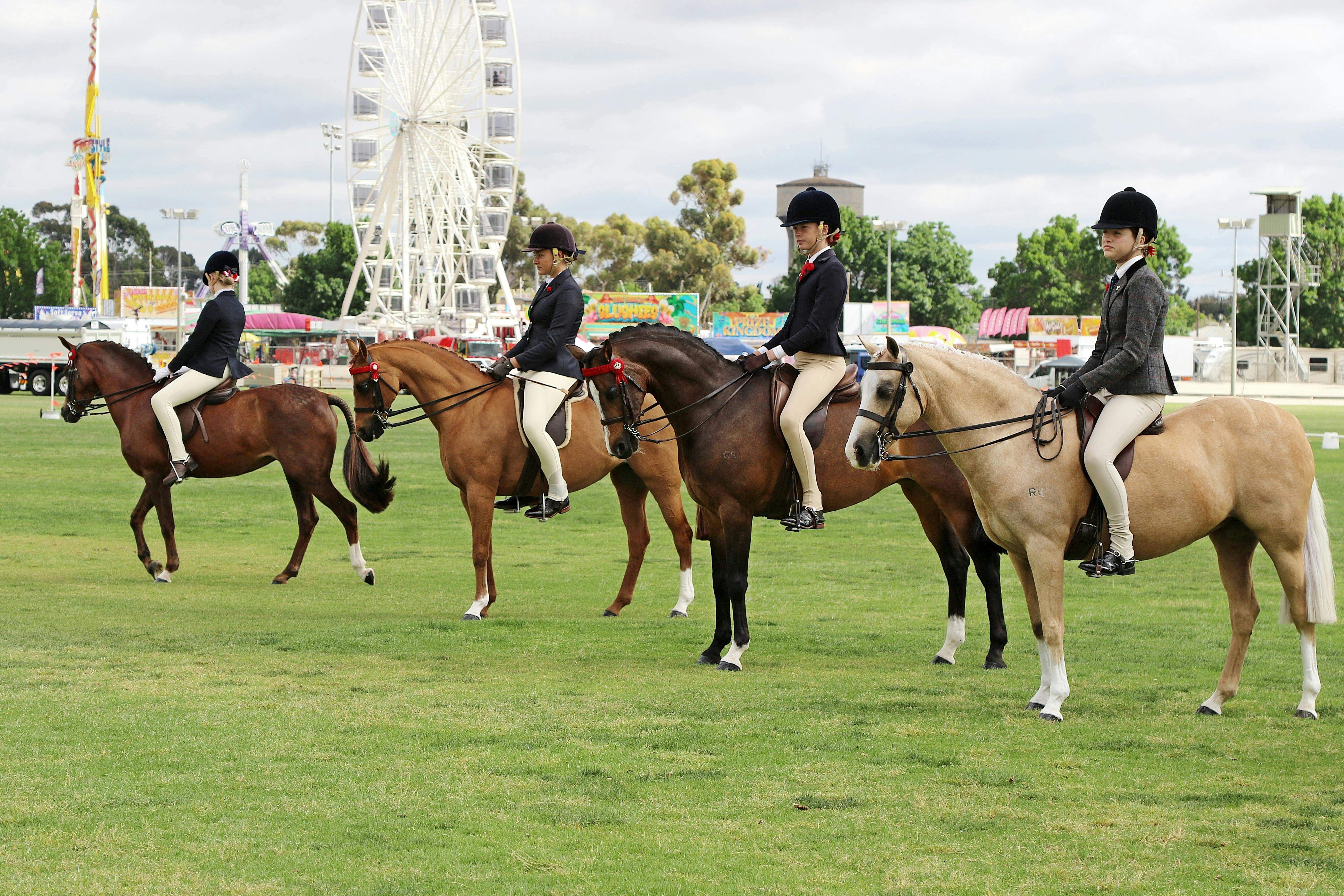 9076Be009B994B1Fab018Ecb27F92Caf