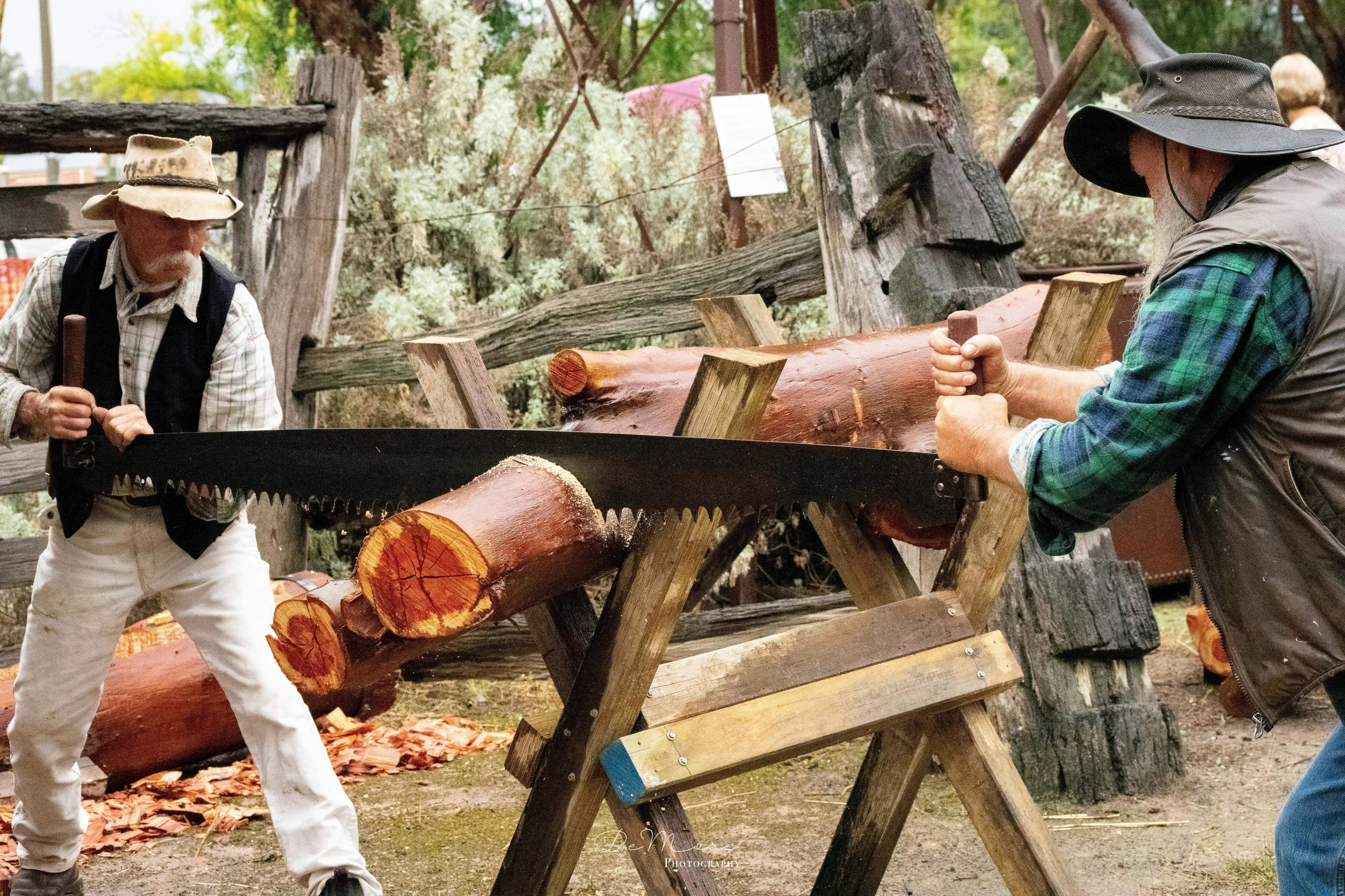 E64Fd95771B8Ddbb7Eb07F9Bb629Bb05