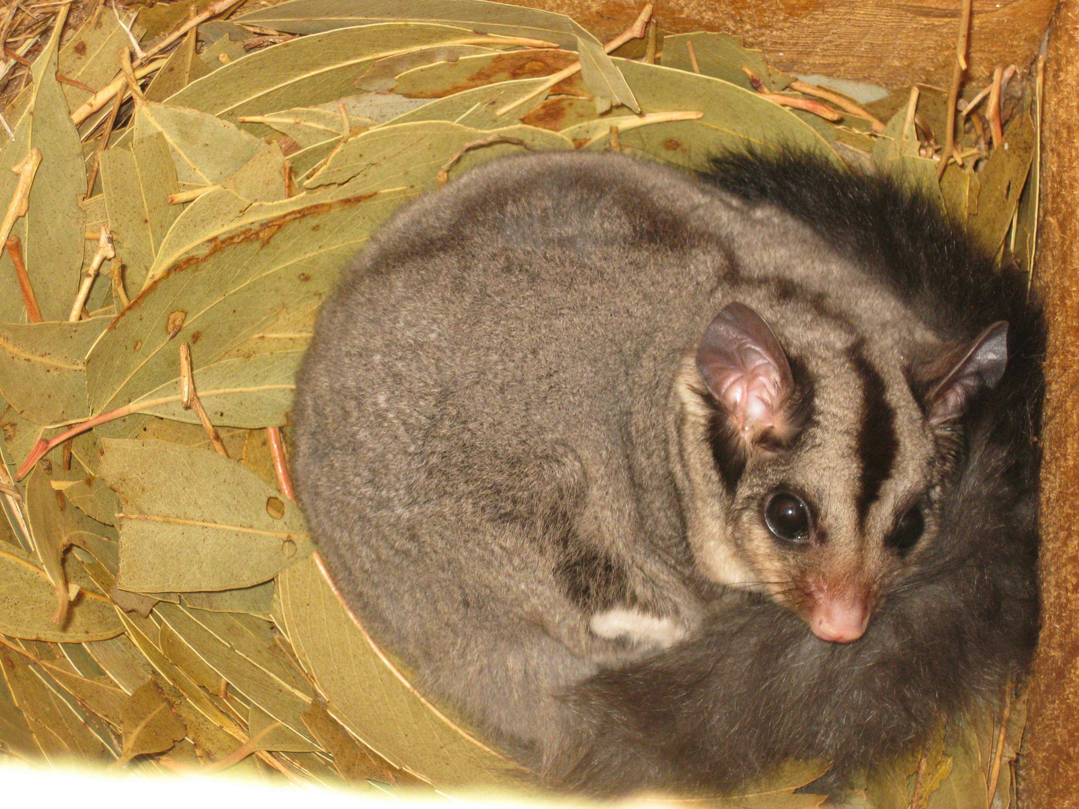 Eb0A8E6870912Aeb8D07501Dc754Fdd5