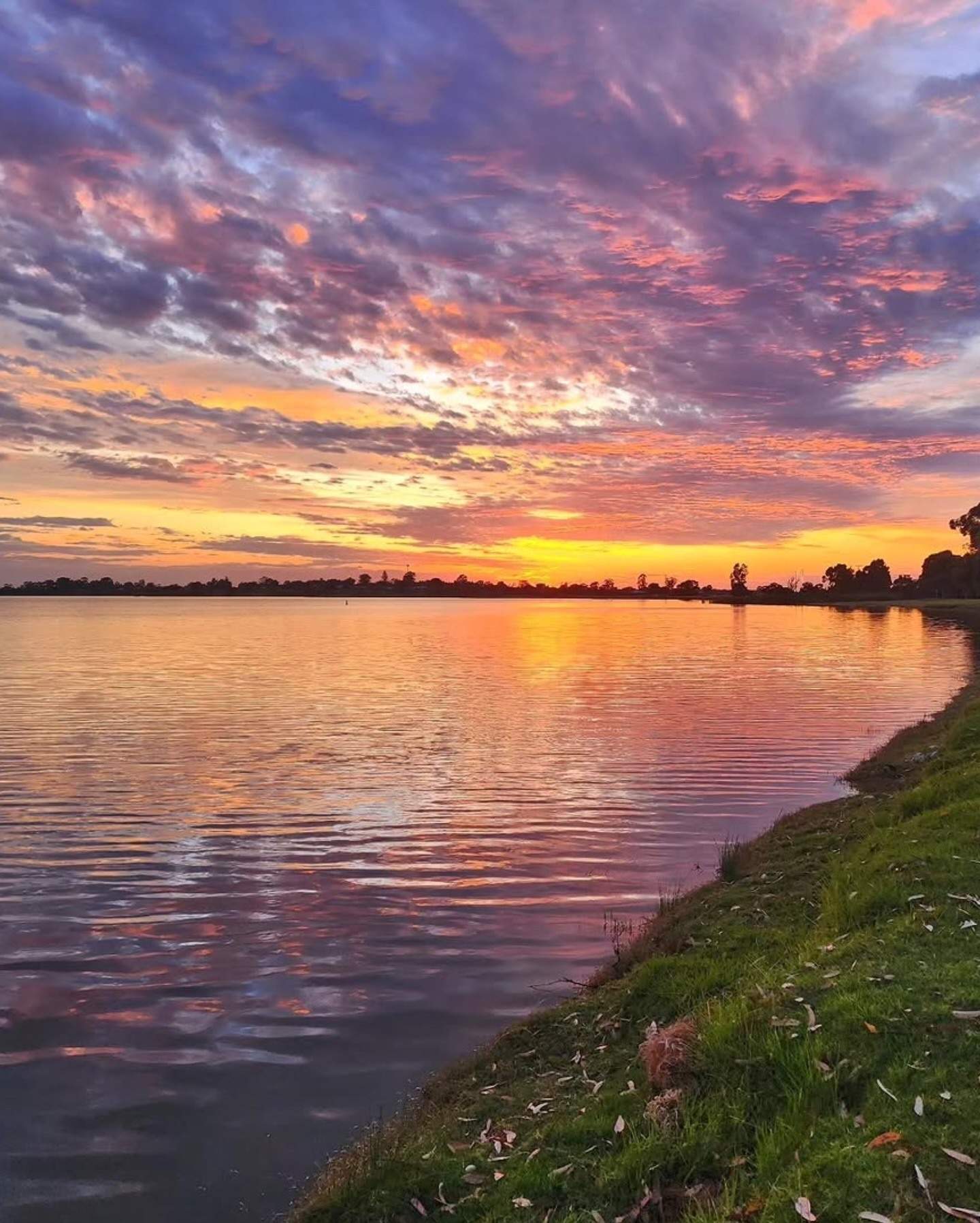 visitthemurray
