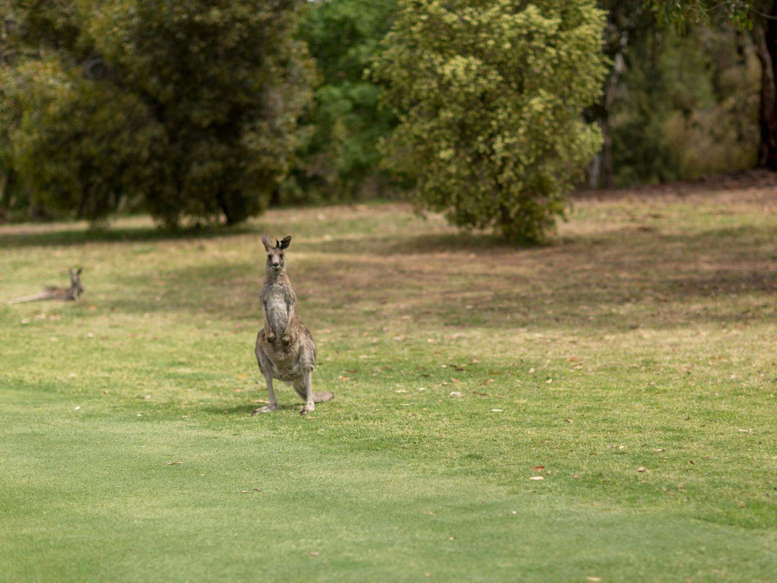 553A263D05Afcfb4A7350Aa1Bb938Ce1