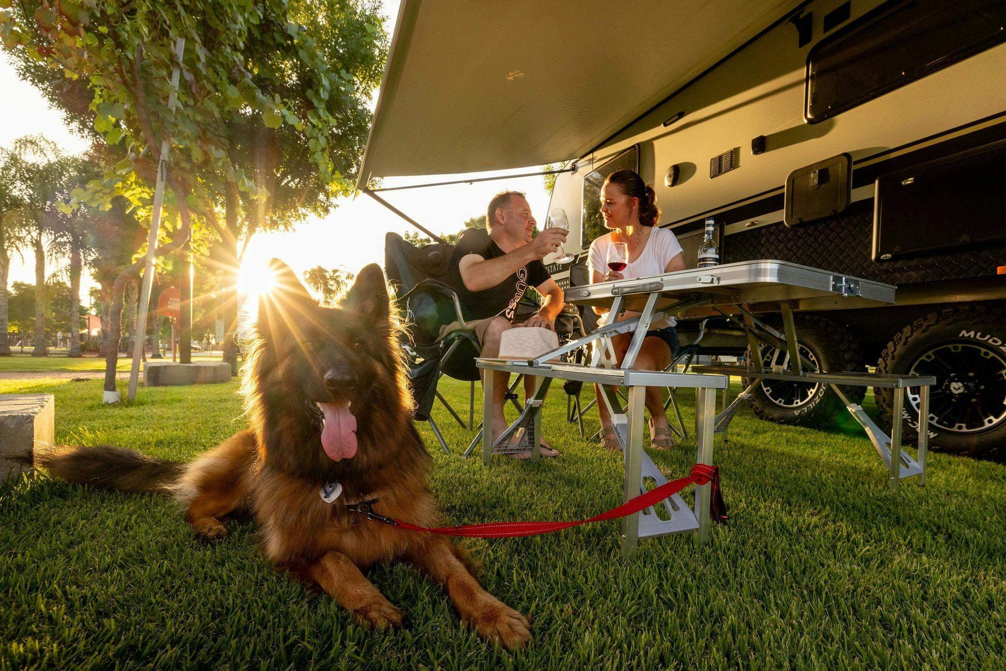 6D845Dd4A52F158A19Fc2F44Bb53995A