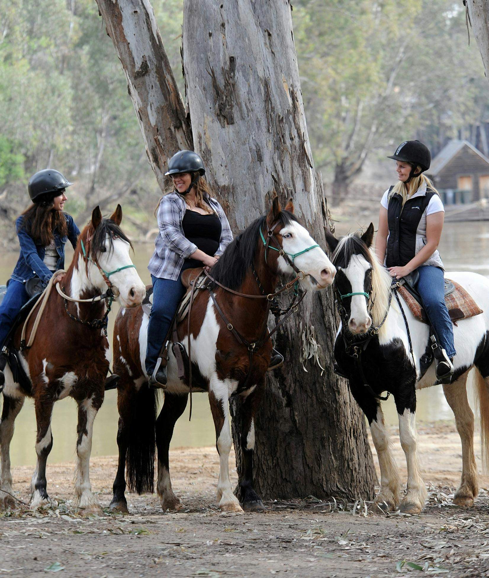 35B2B9D2436B6C2D4427Bbfb5Ce9494A