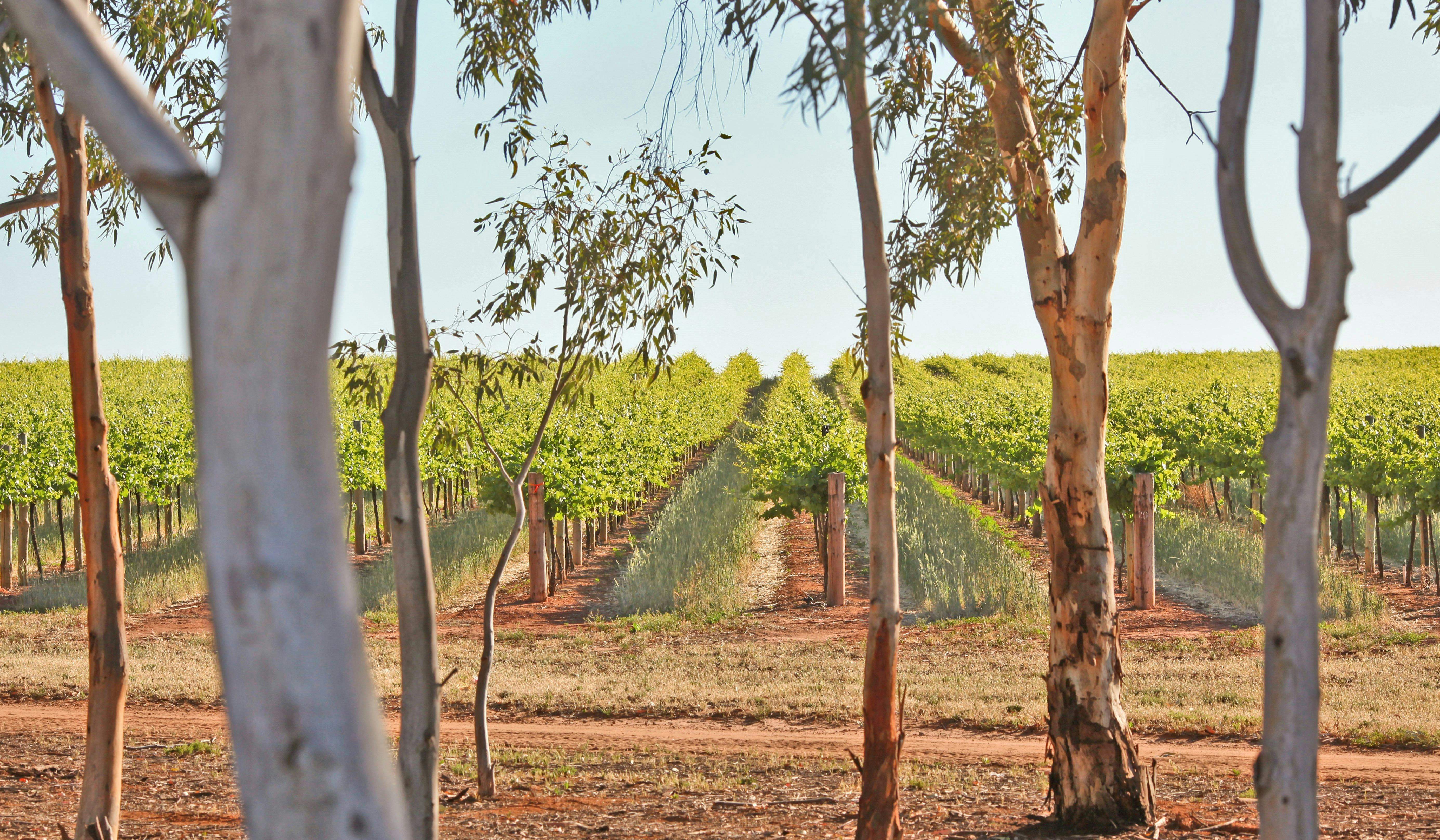 49424E9F9A5D70Ec05Fb6F947Fc9Eab2