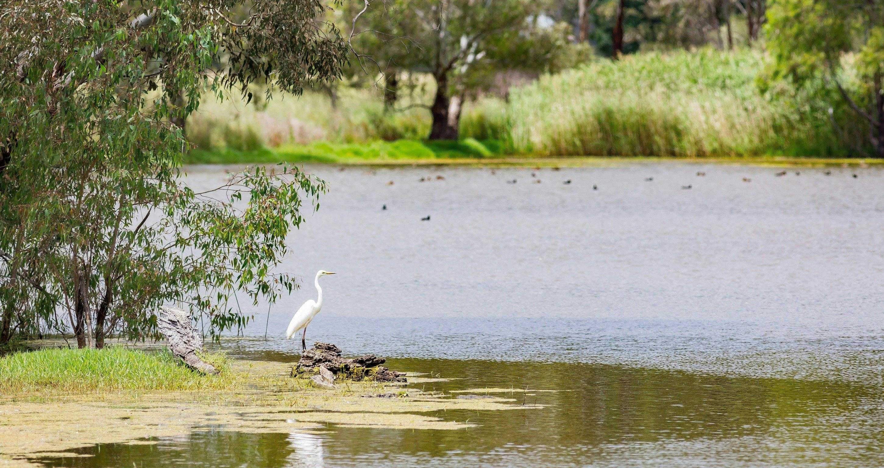 Fba68E1Fac04E1181B473559416C4Bd1