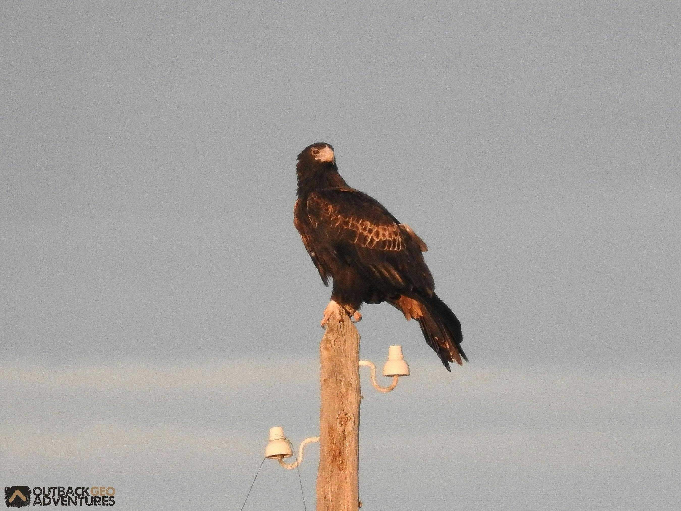 2B404E05055536Be497191817A923647