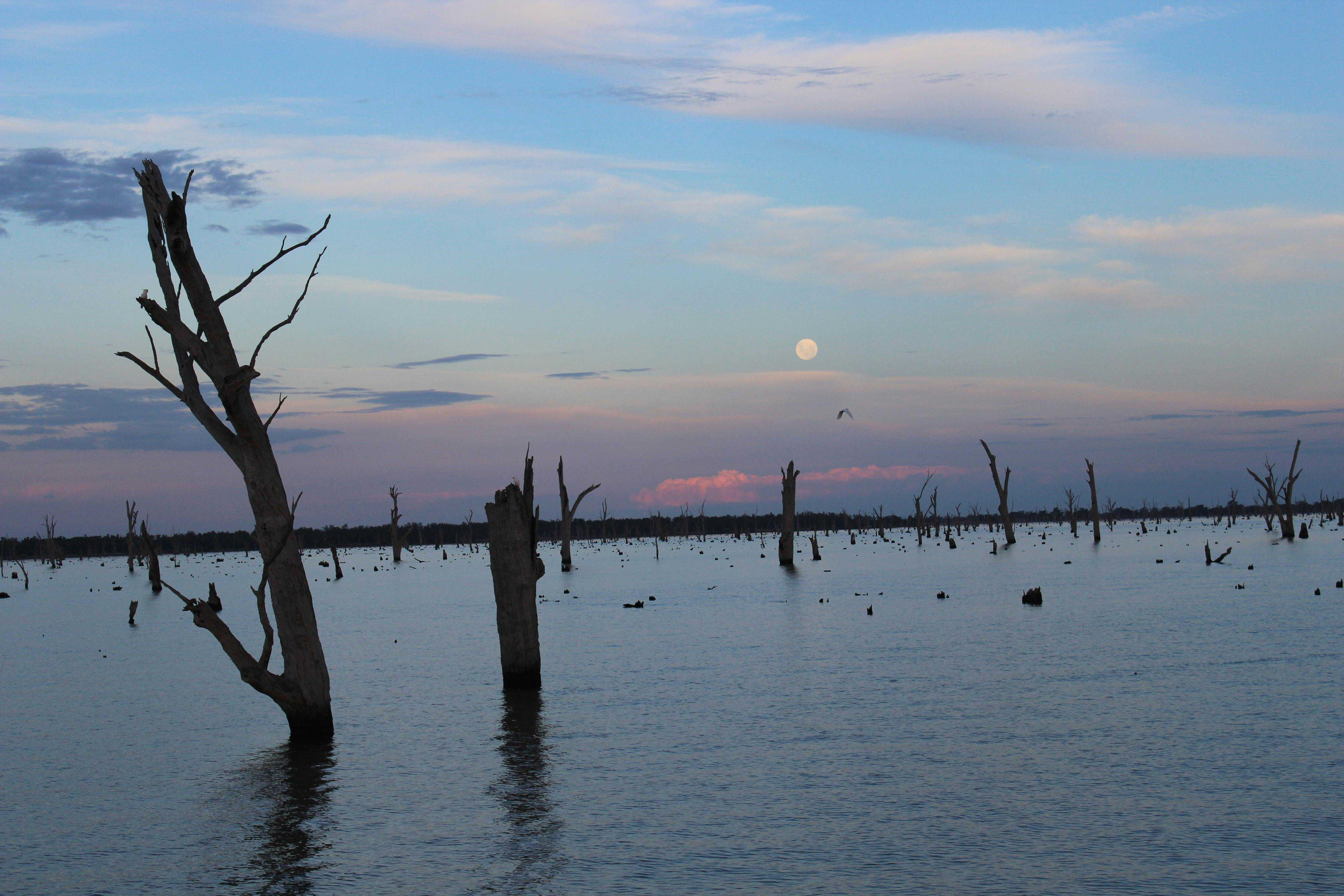 88296Cd92E38Db3C25D28F29024Ef88C