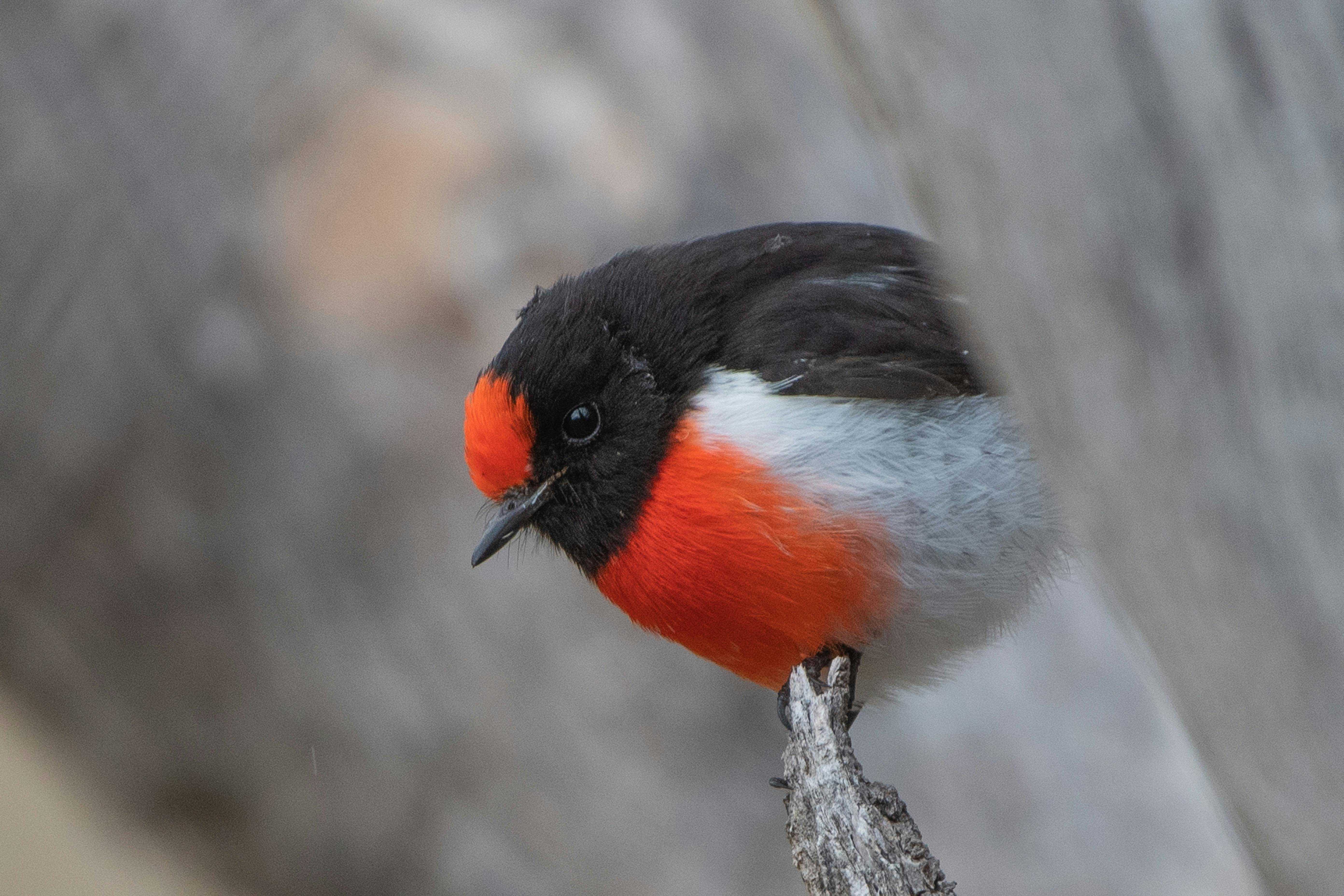 9970C1F99C1C04F605A38Bf1Dd5C8A3E