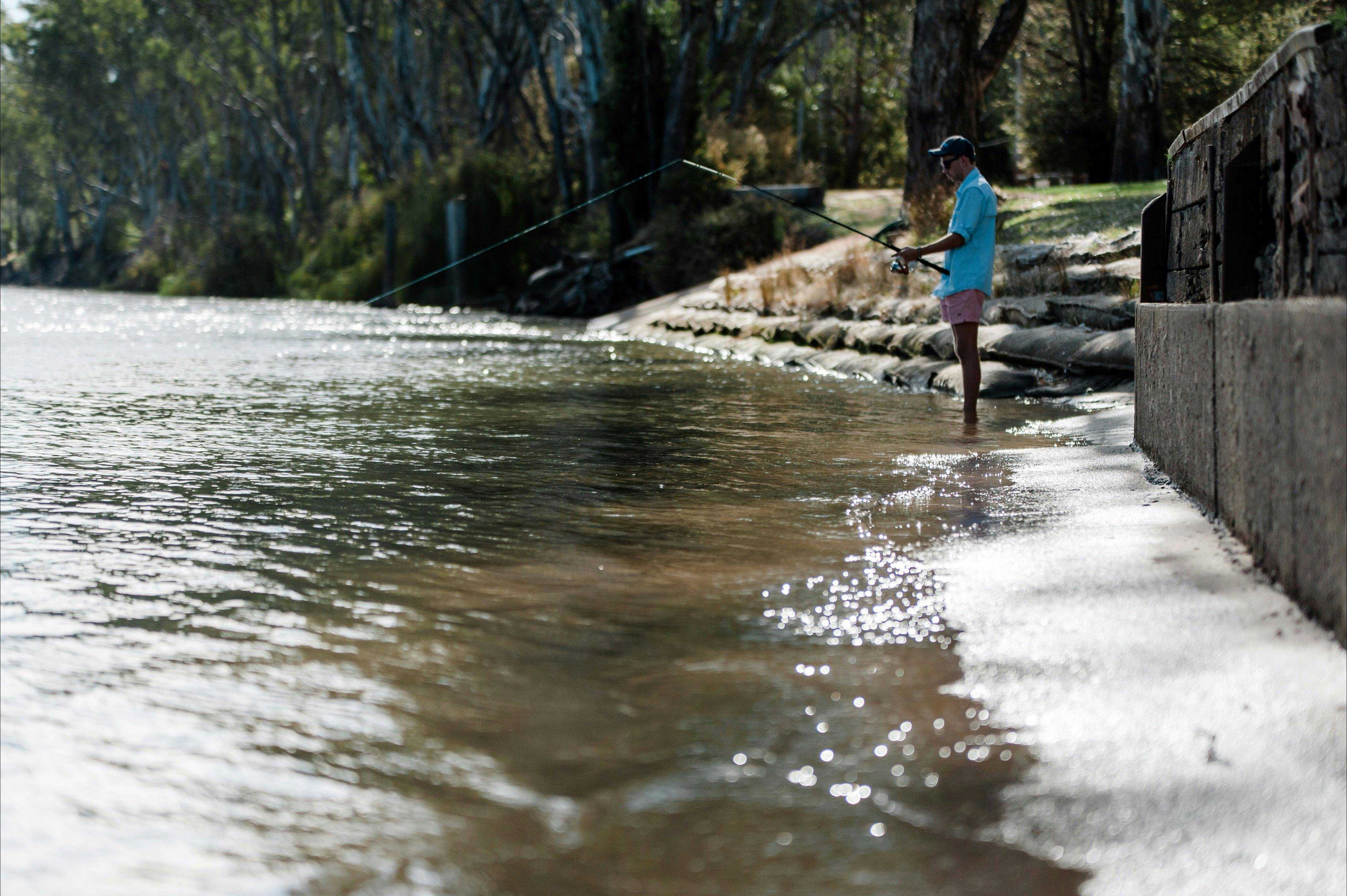 Eff04495F184D198891A40481Df7B92F