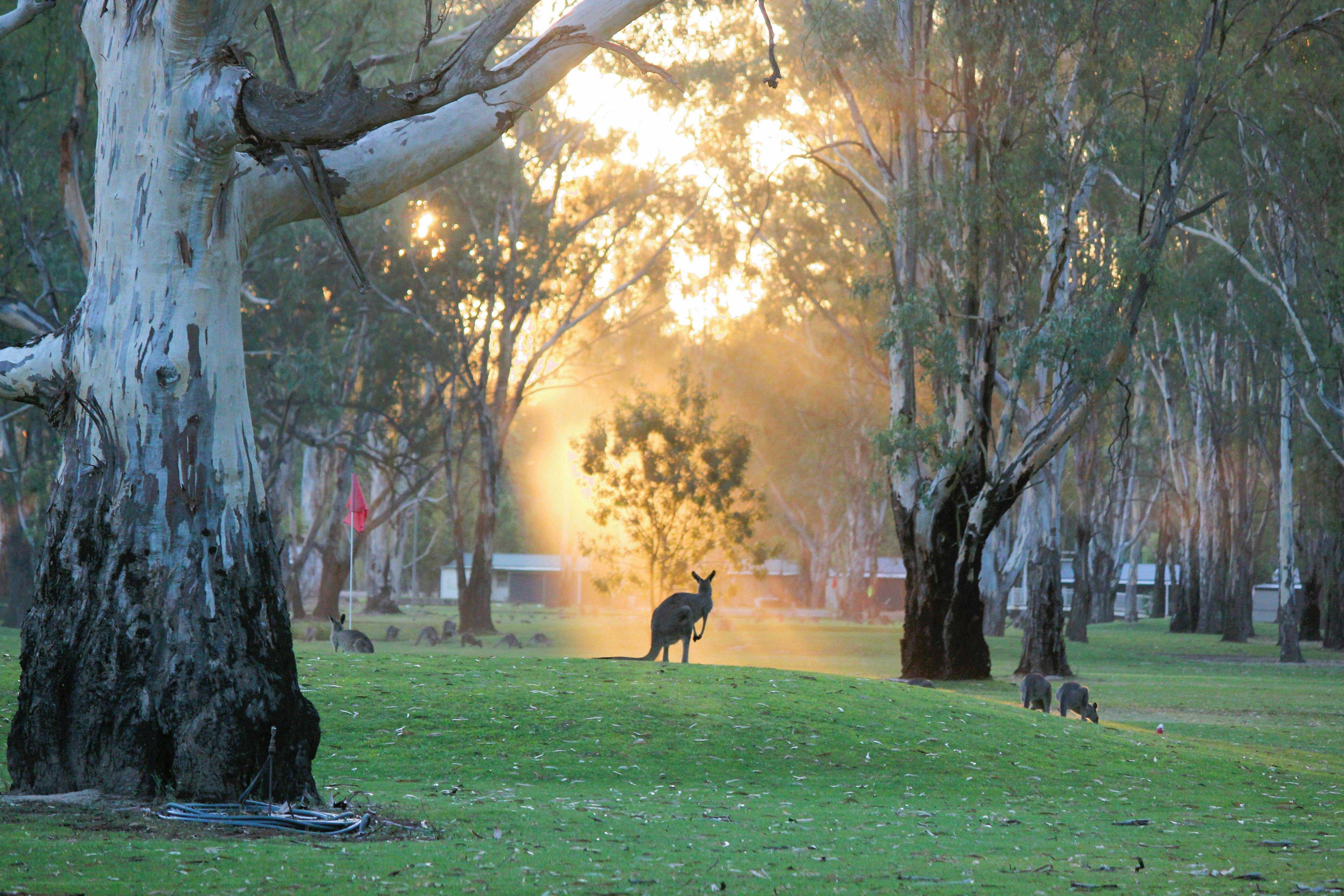 22F5C62Afda0253Ab4655A6B0178E260