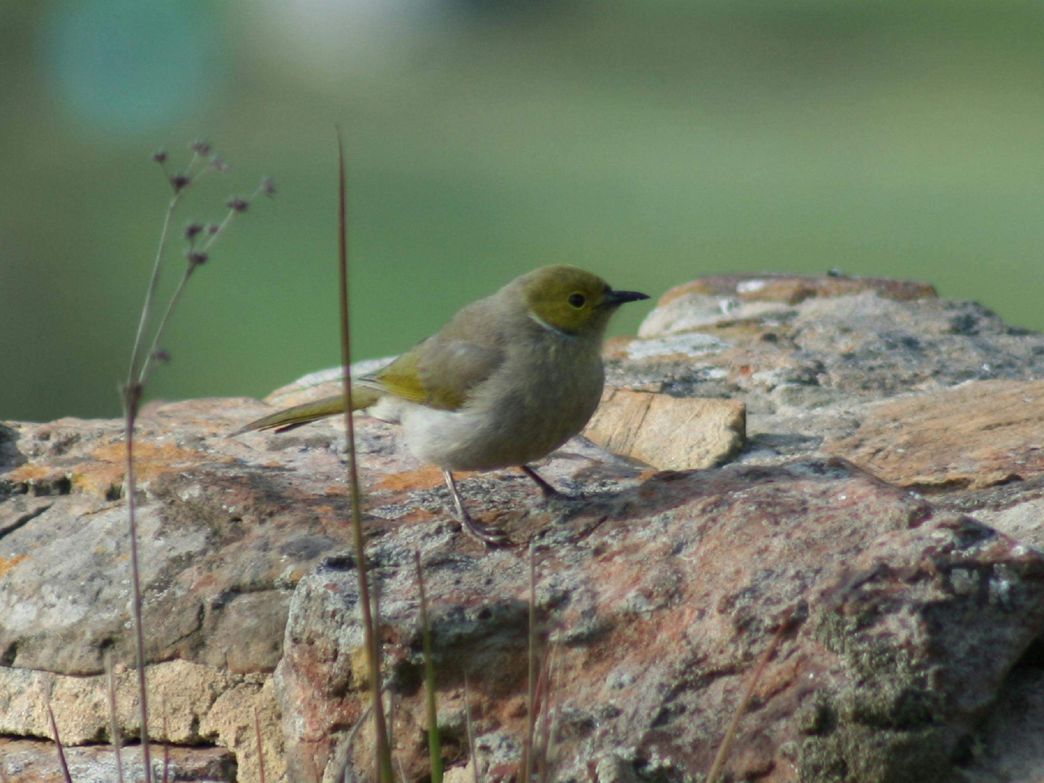 8F16Bb4B6D25B21458E48F9D05870Ff6