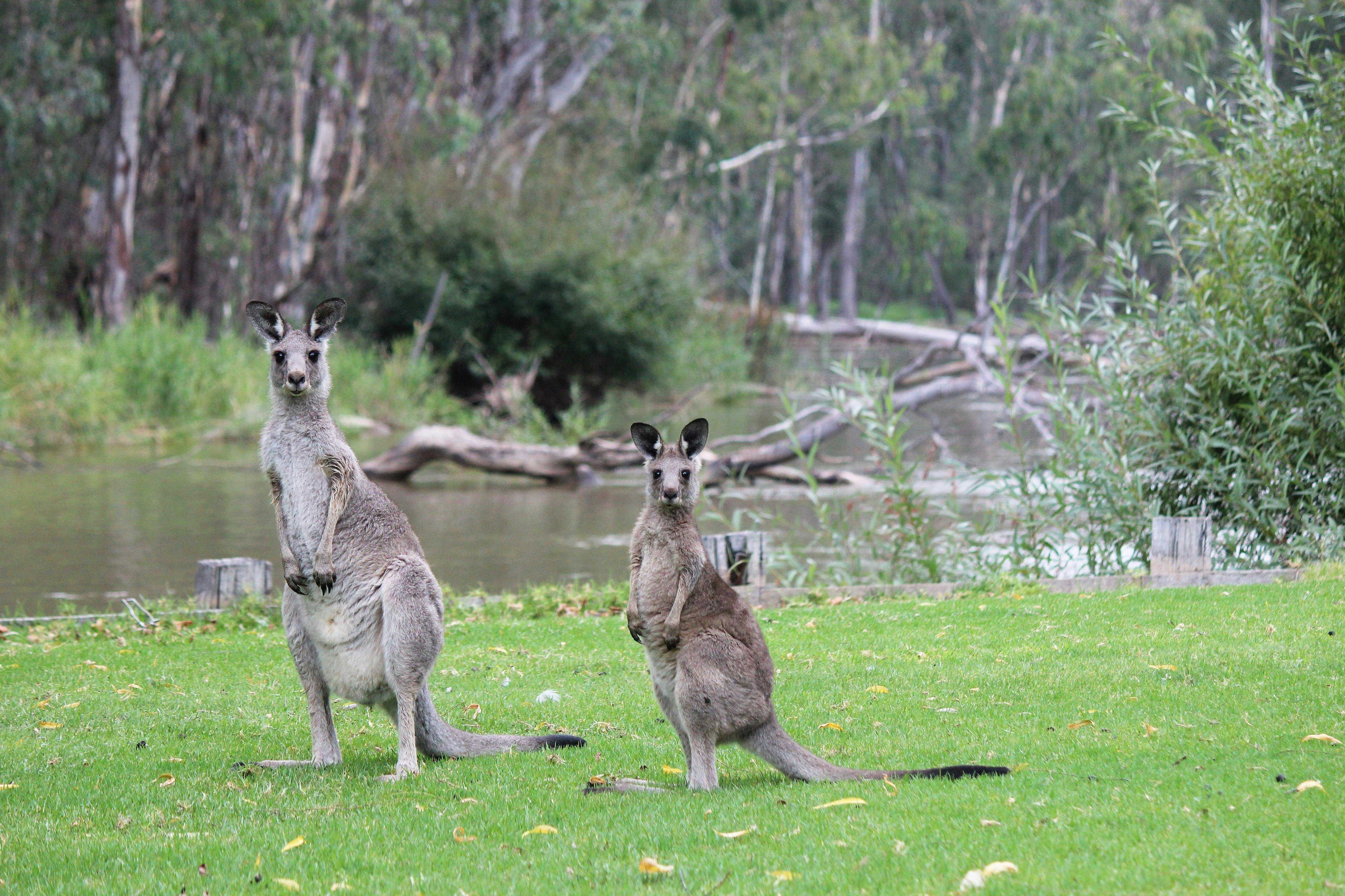 1F6E810Caeed6009Ddff08738Cef657F