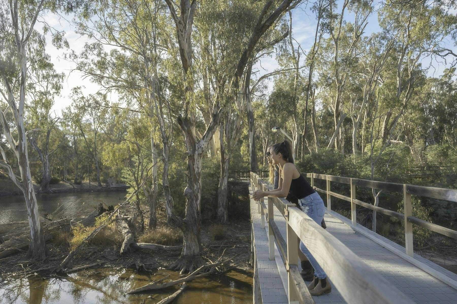 50Ce94B95C3112D52A3925865A8F18C6