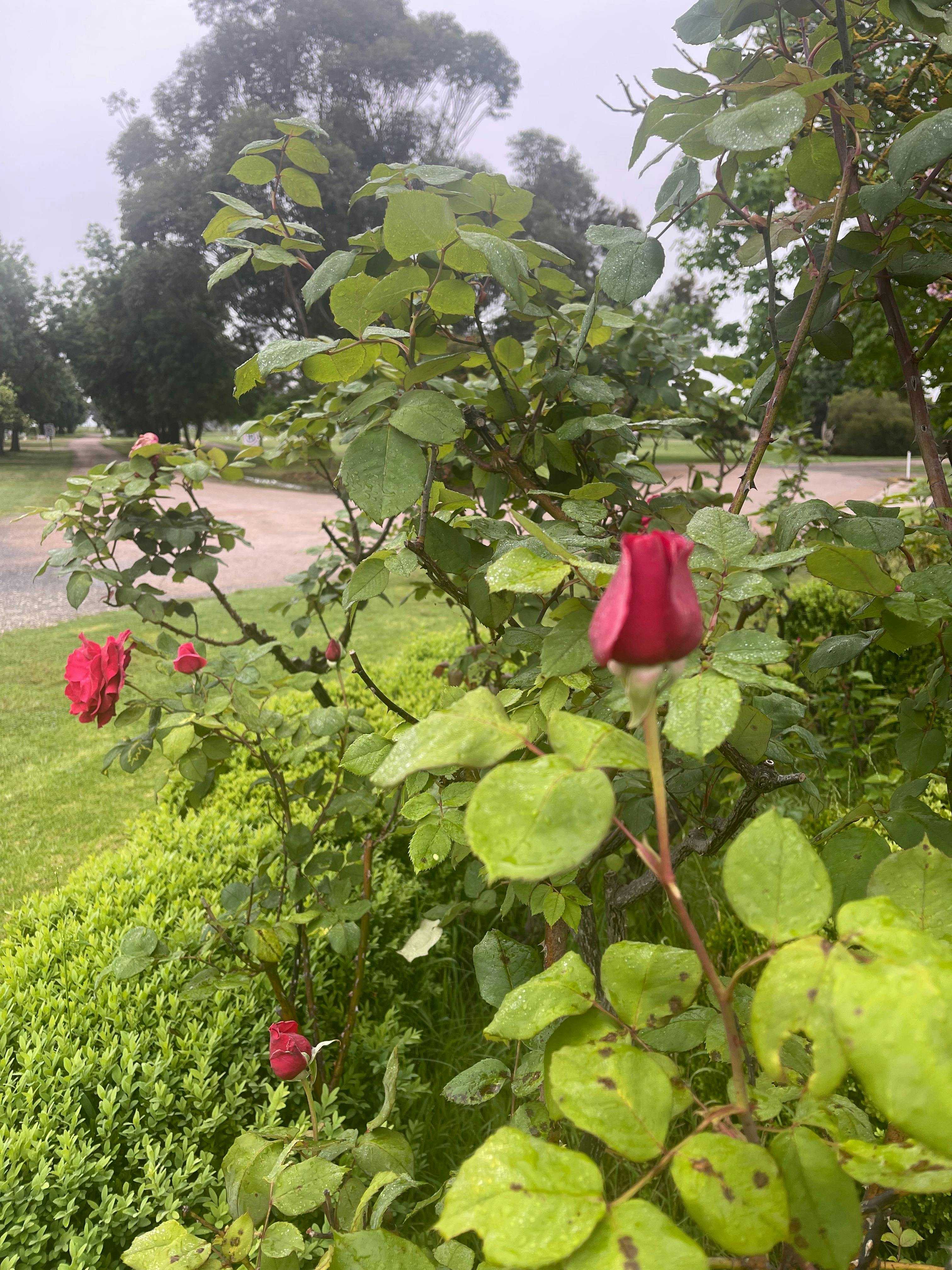 42Ba17B93231D66326C94493Dba09Bf8