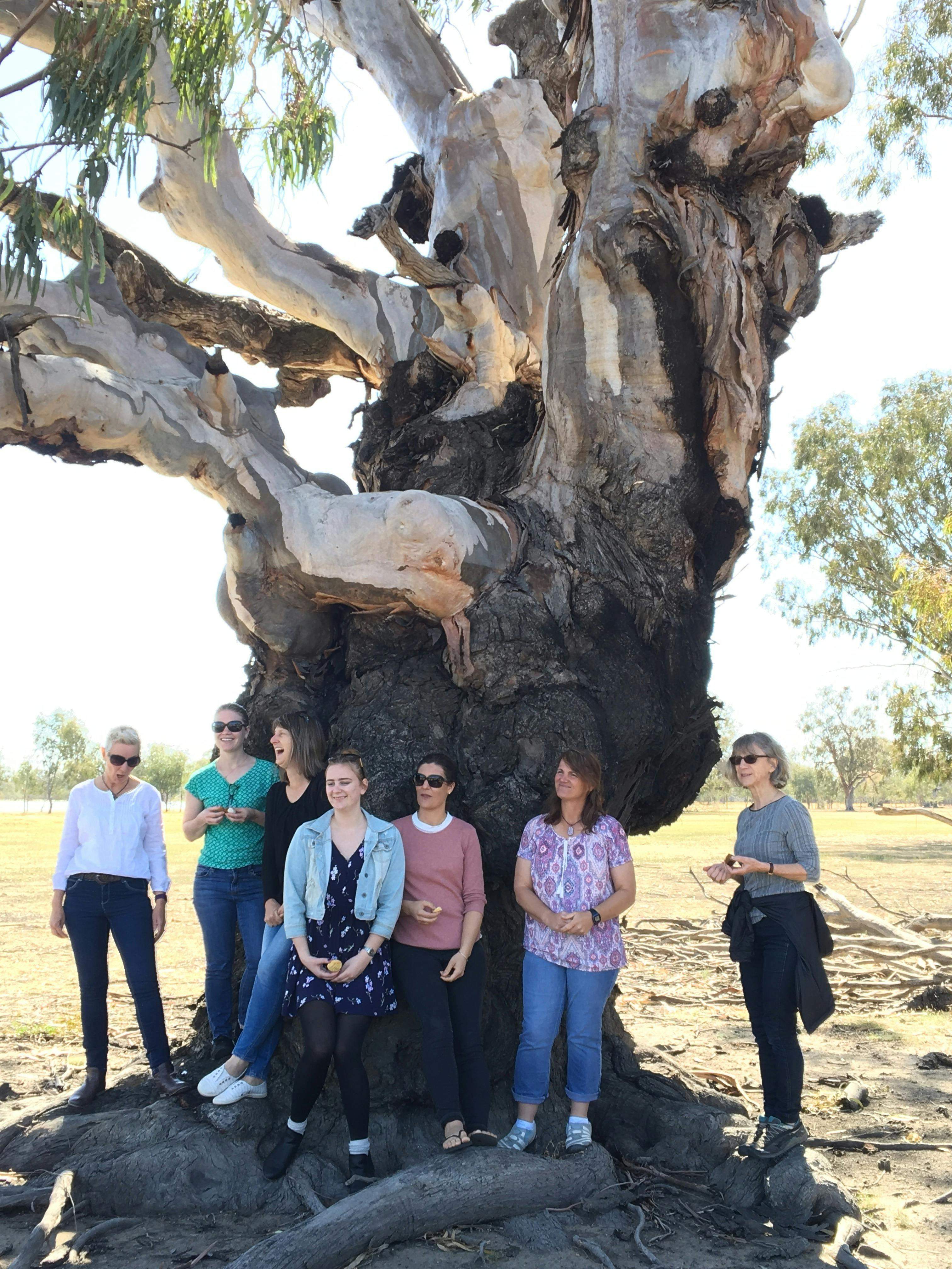 Bfdac17Ed37C1Ac0257B24B501Df3808