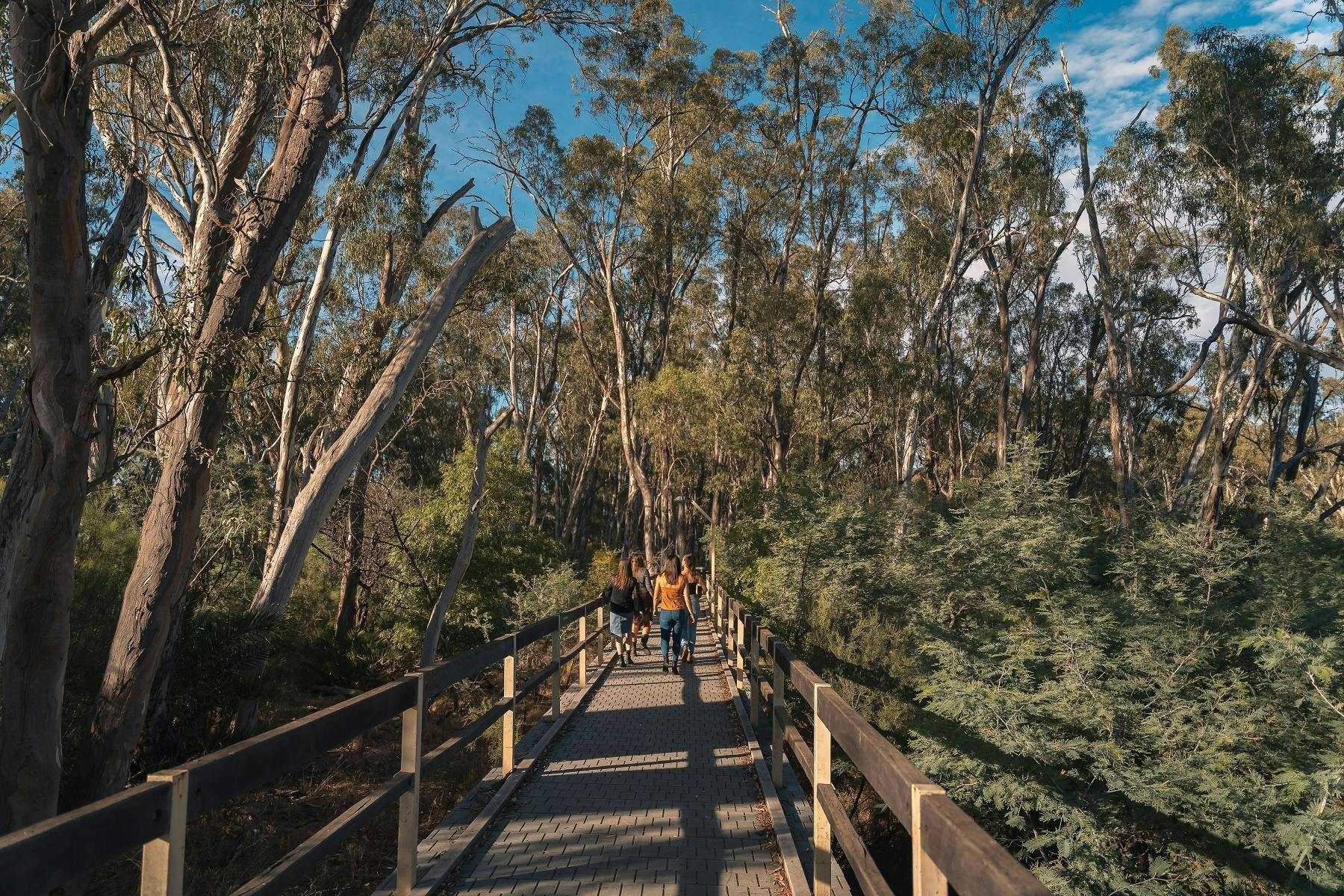 2C9C7B9Ce8A1E2166Ee9A91D95D4Fb9C