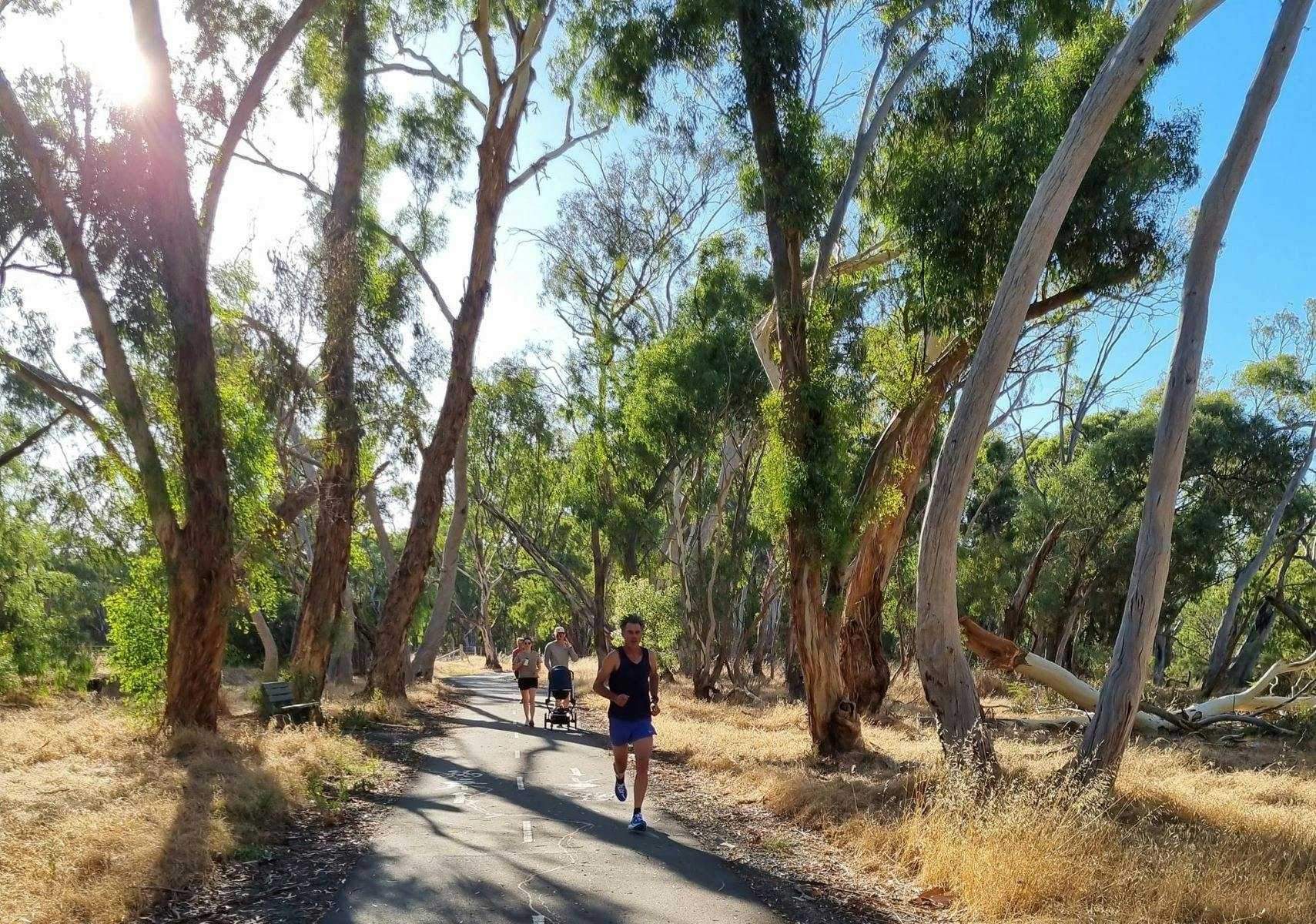 D758C46110D05Dee11E1C613Cf6D5788