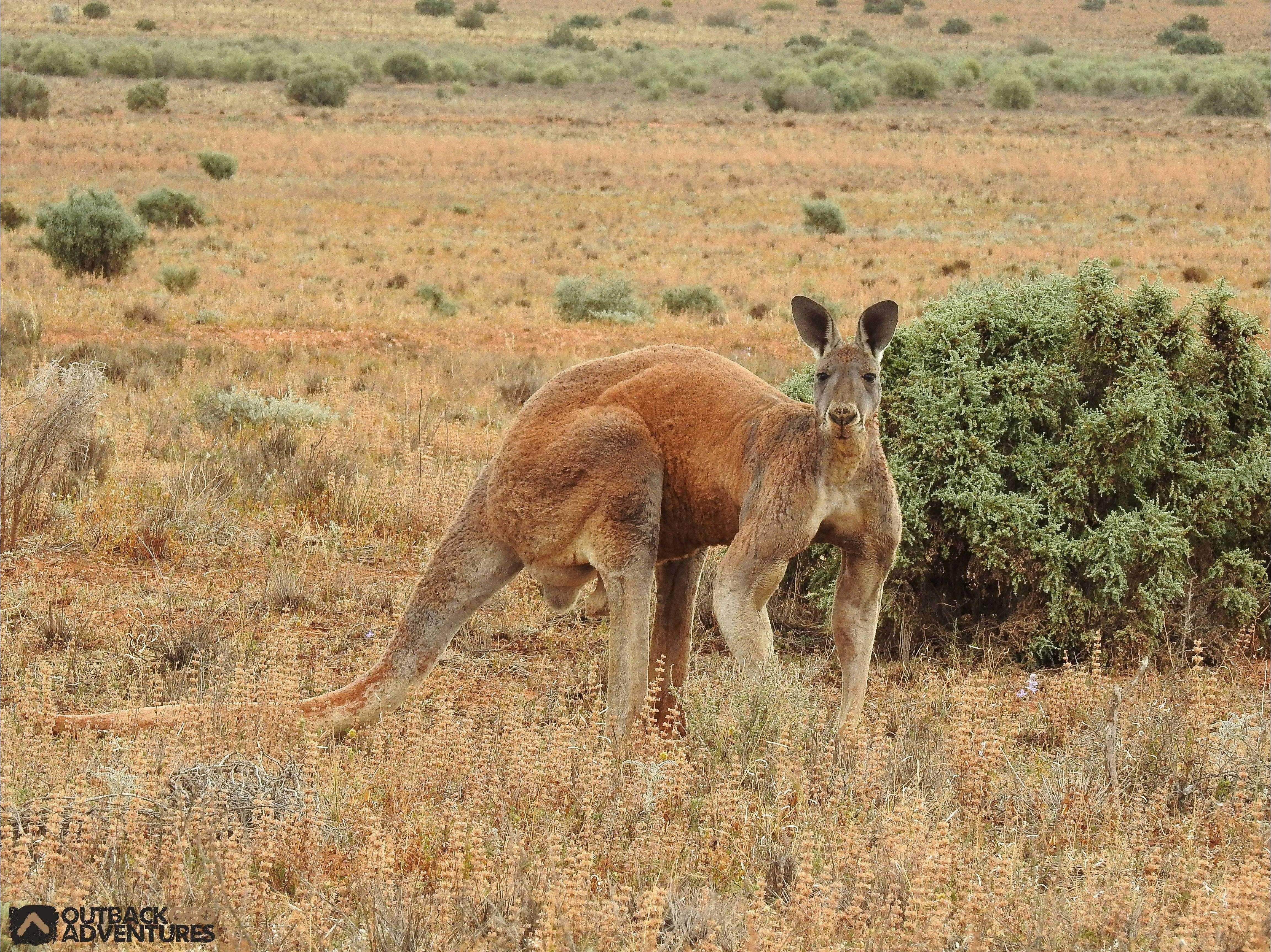 87529Fa5E28B9C3Bd78213A8A78E1920