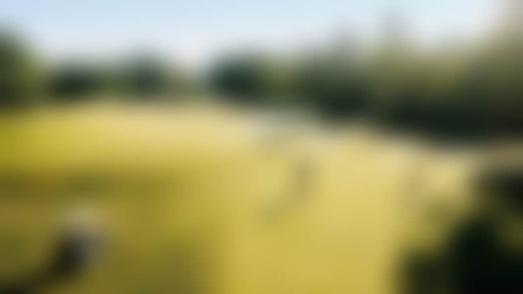 4317B1C62Ff92Fee5Bdf37Beaaf5A9Be