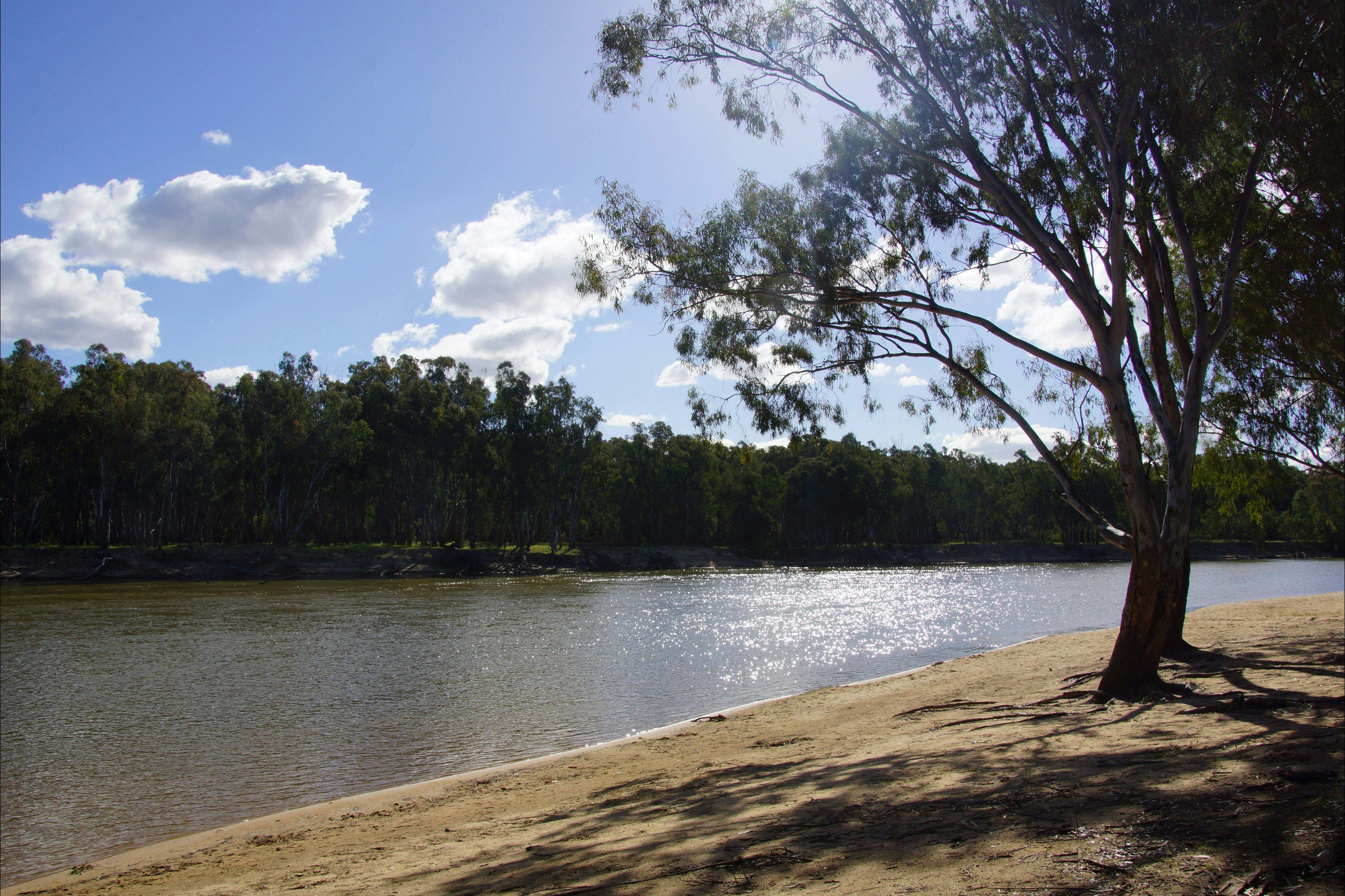 D62D6B73952B17A9C51A32364Ae72215