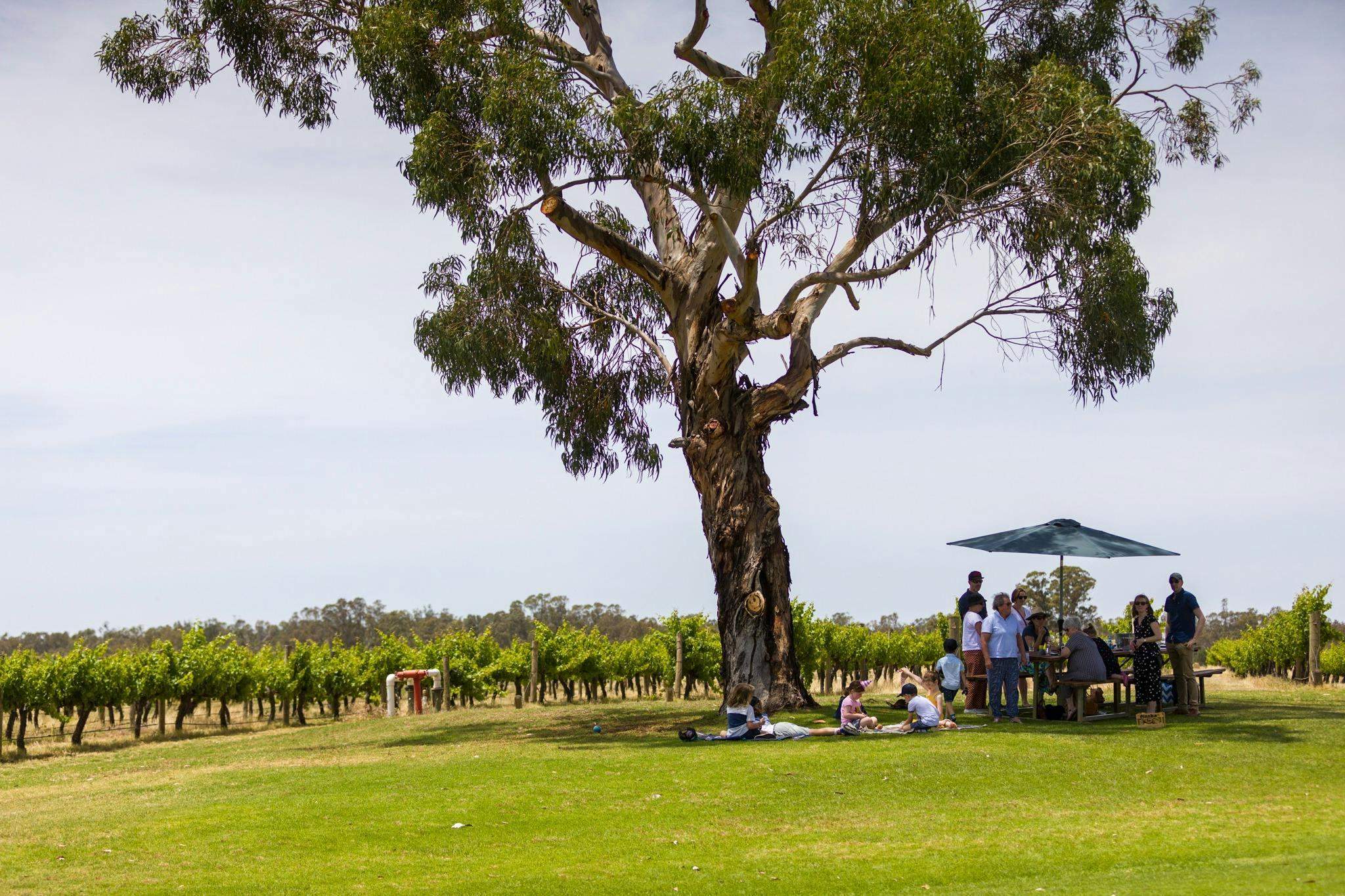 2Fb8D1Ba5Fafae431D909Ffe05D8B480