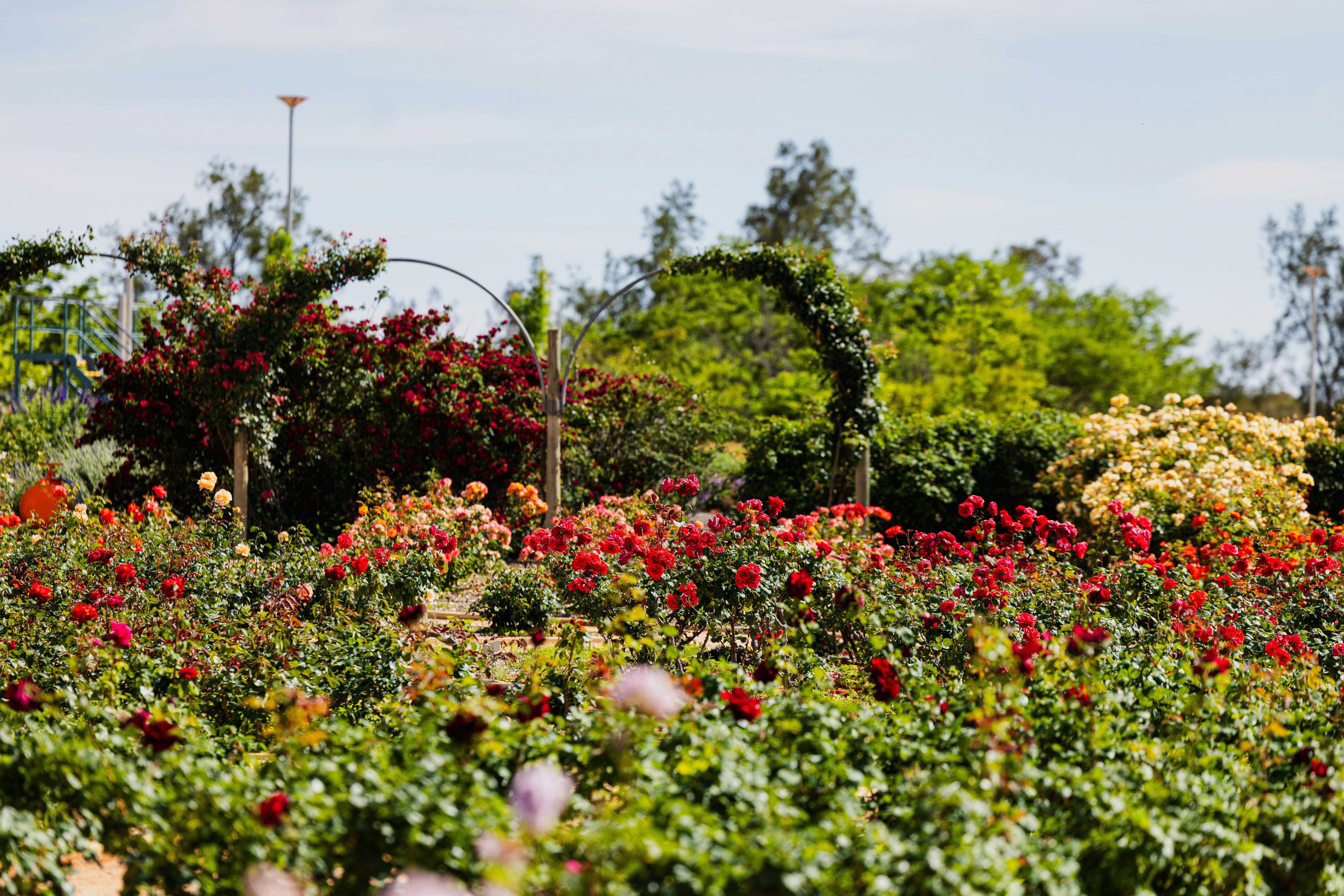 A8D8D45A9Dd878Ffa3E86Dc4F38C943D