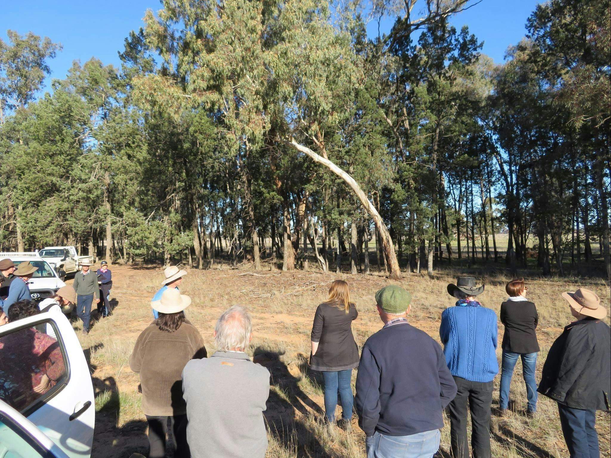 Dd1580Ec274730D88C98344Ea024B13A