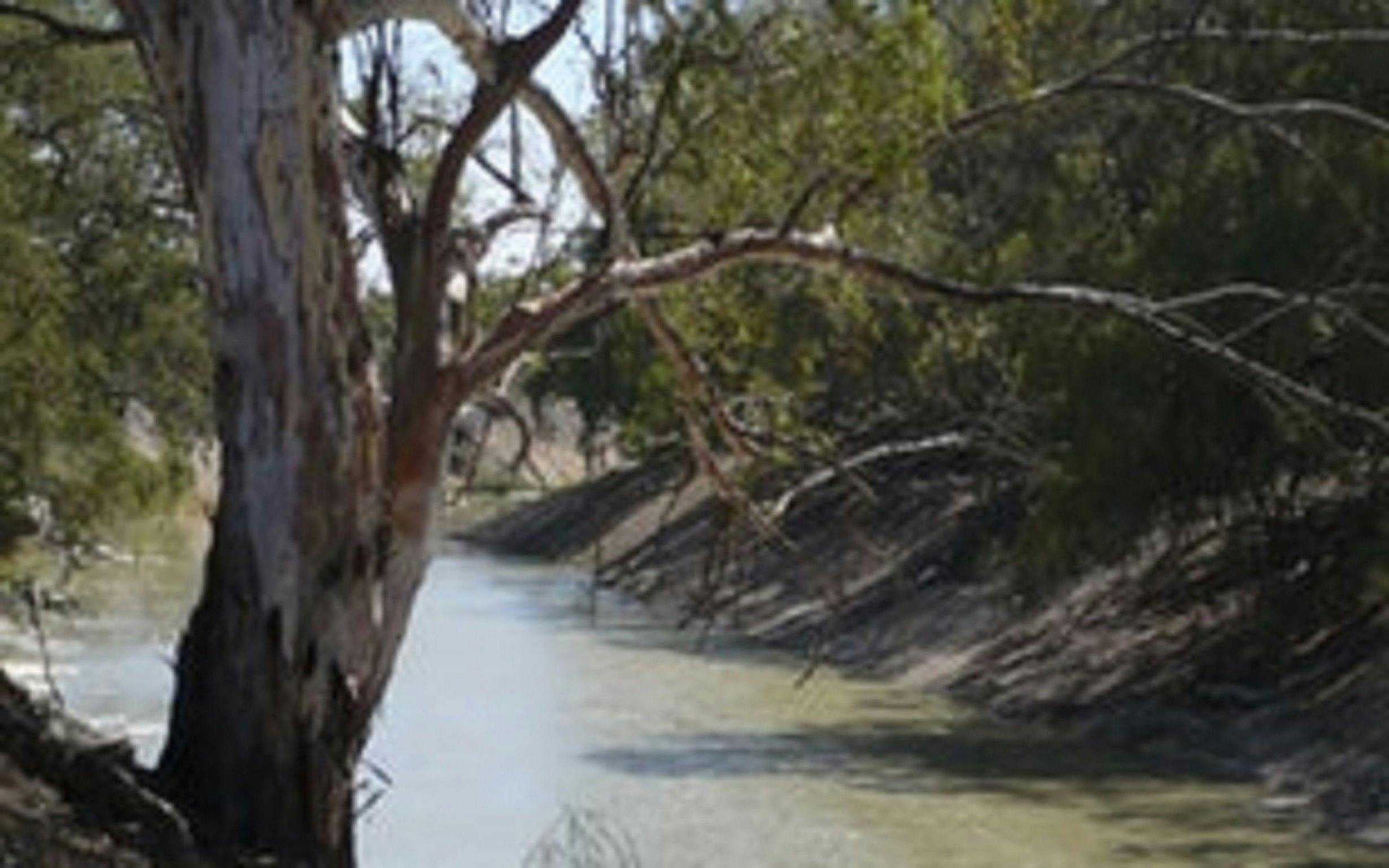 A728Ad8Fb71F974Cd2D0C1765Aafa761