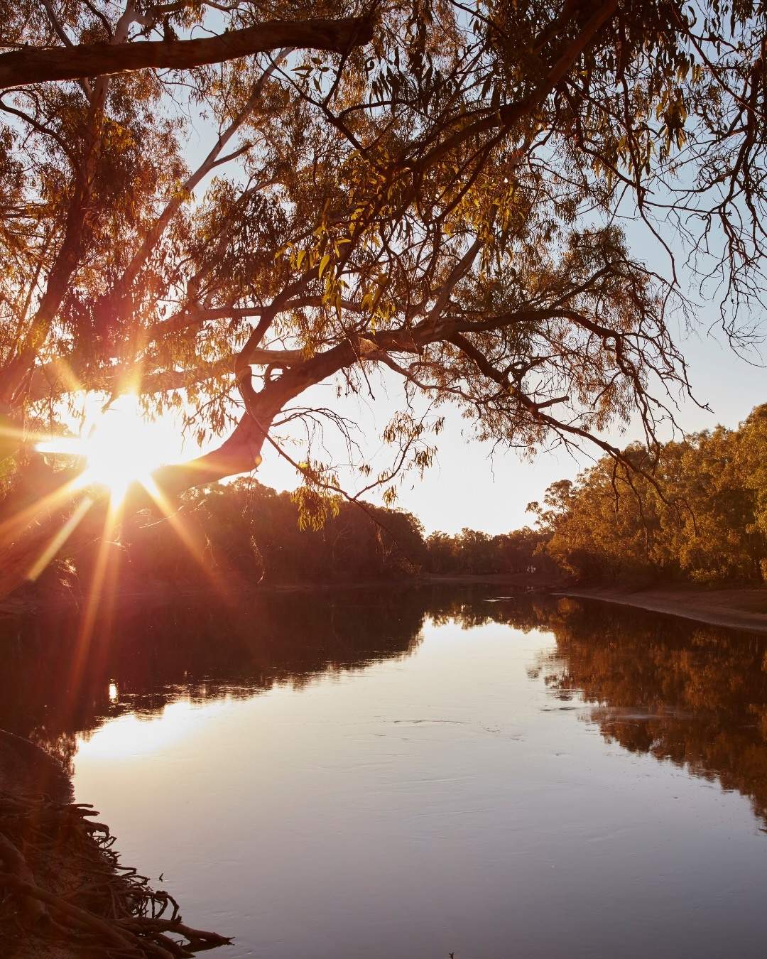 visitthemurray