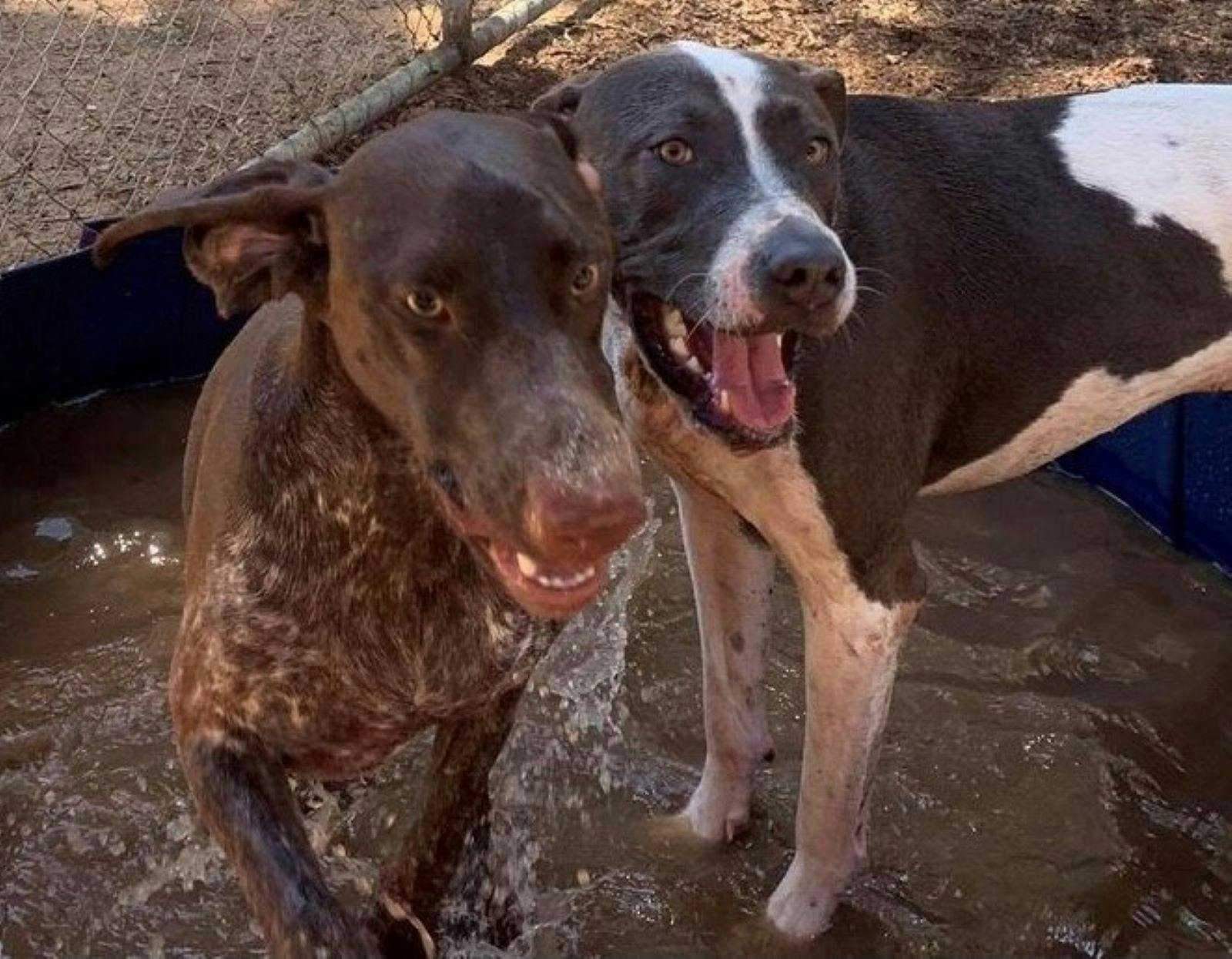 4Cb1Cafbea09Ad3Bb835Bc6Fa67Eded2