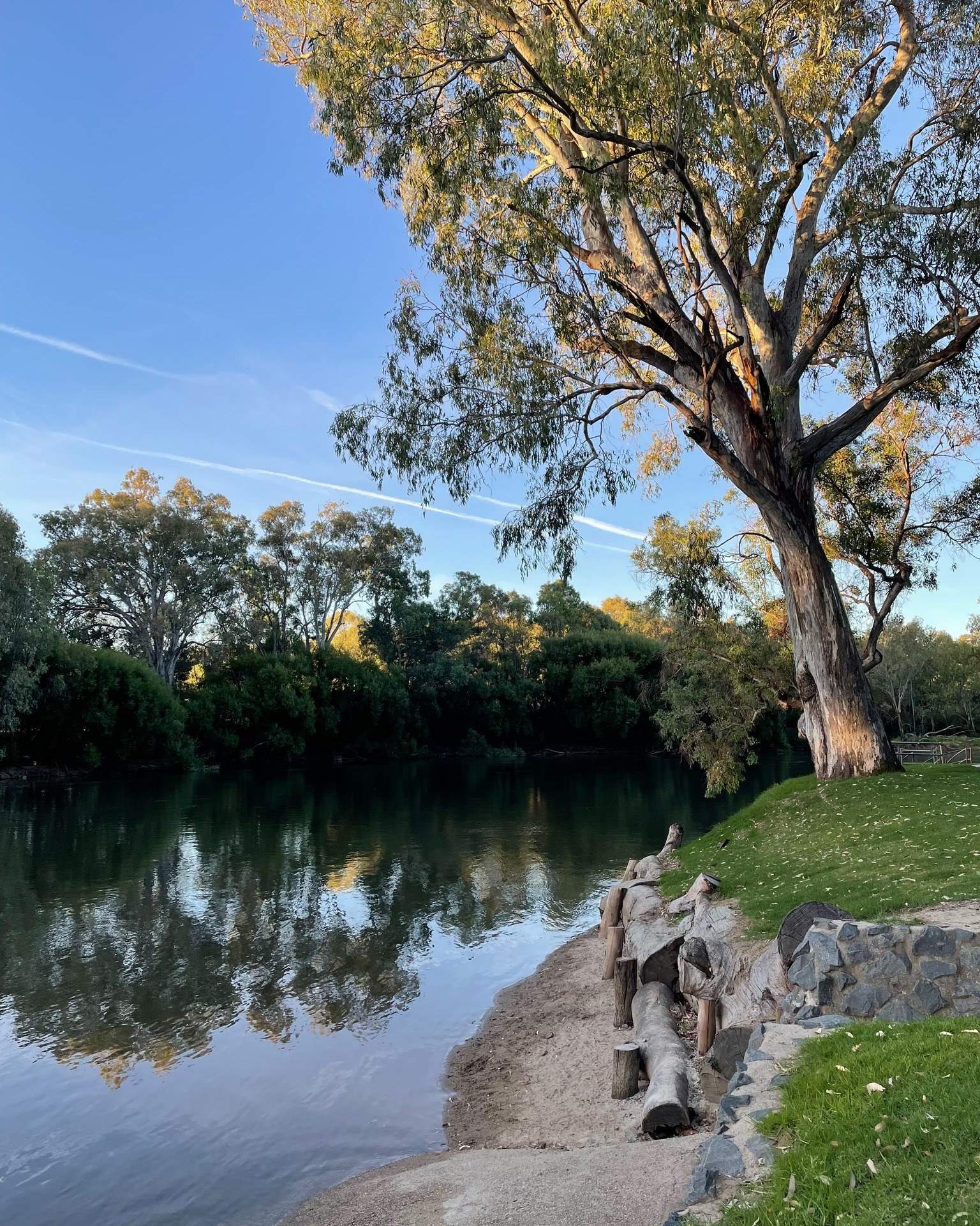 visitthemurray