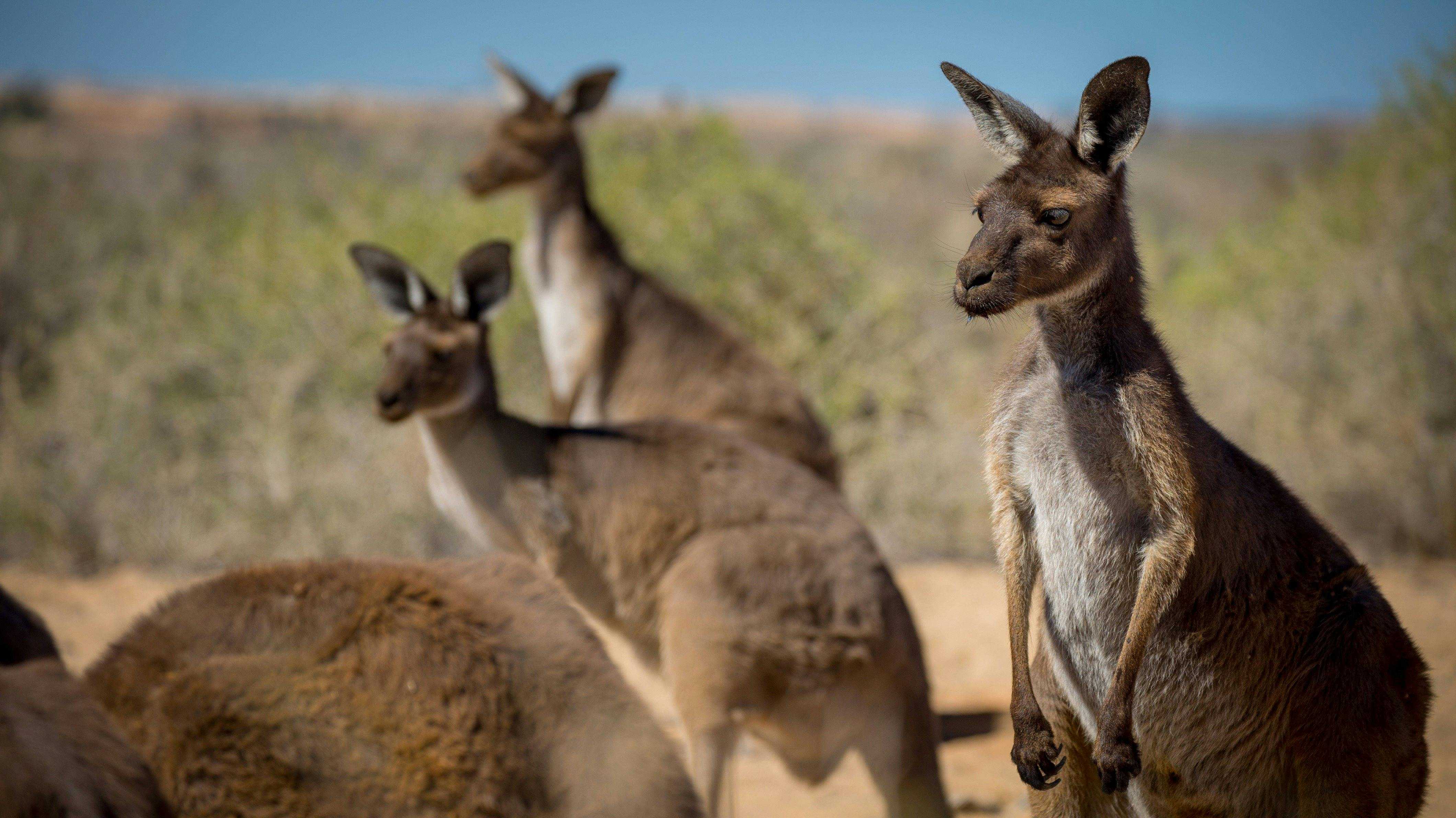 7B28B268E753B79E127A9B83E5762852