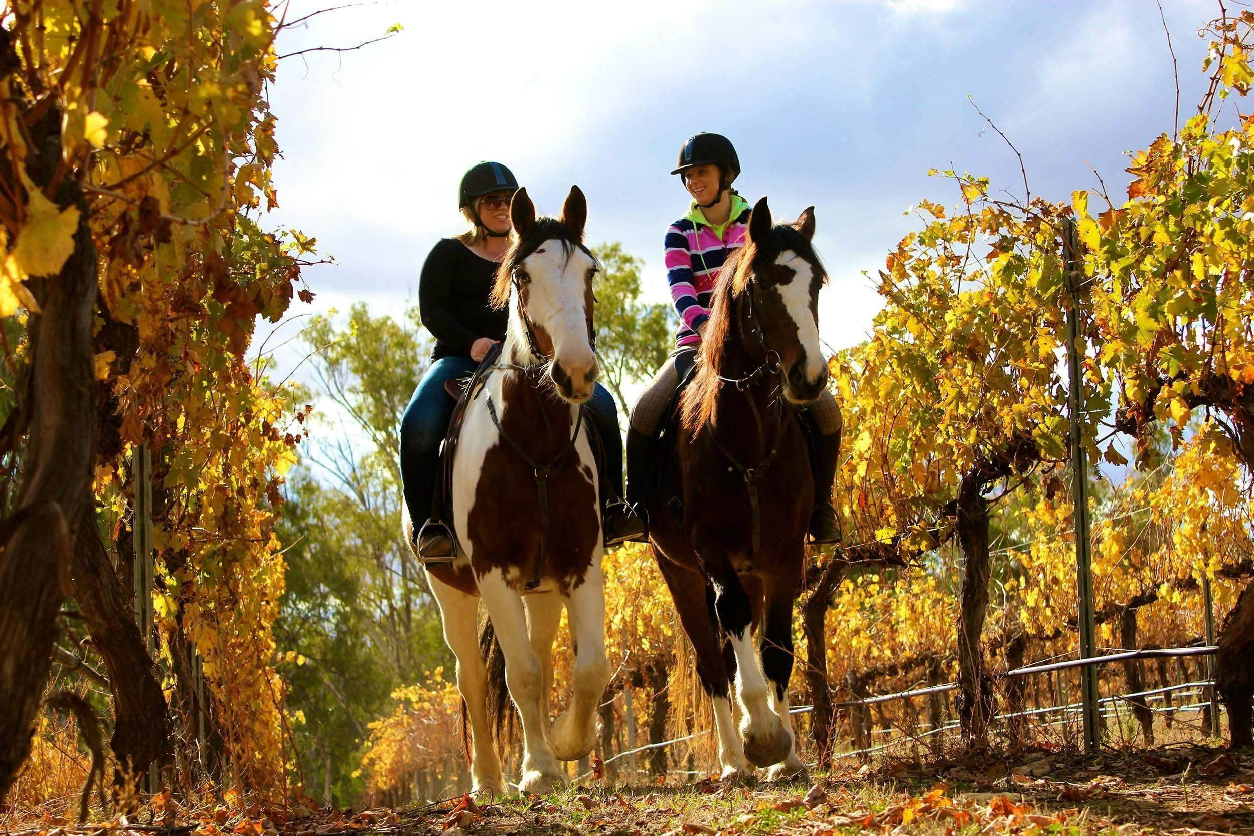 Original__9513265_Db38_Winery_03_He9Gc2F